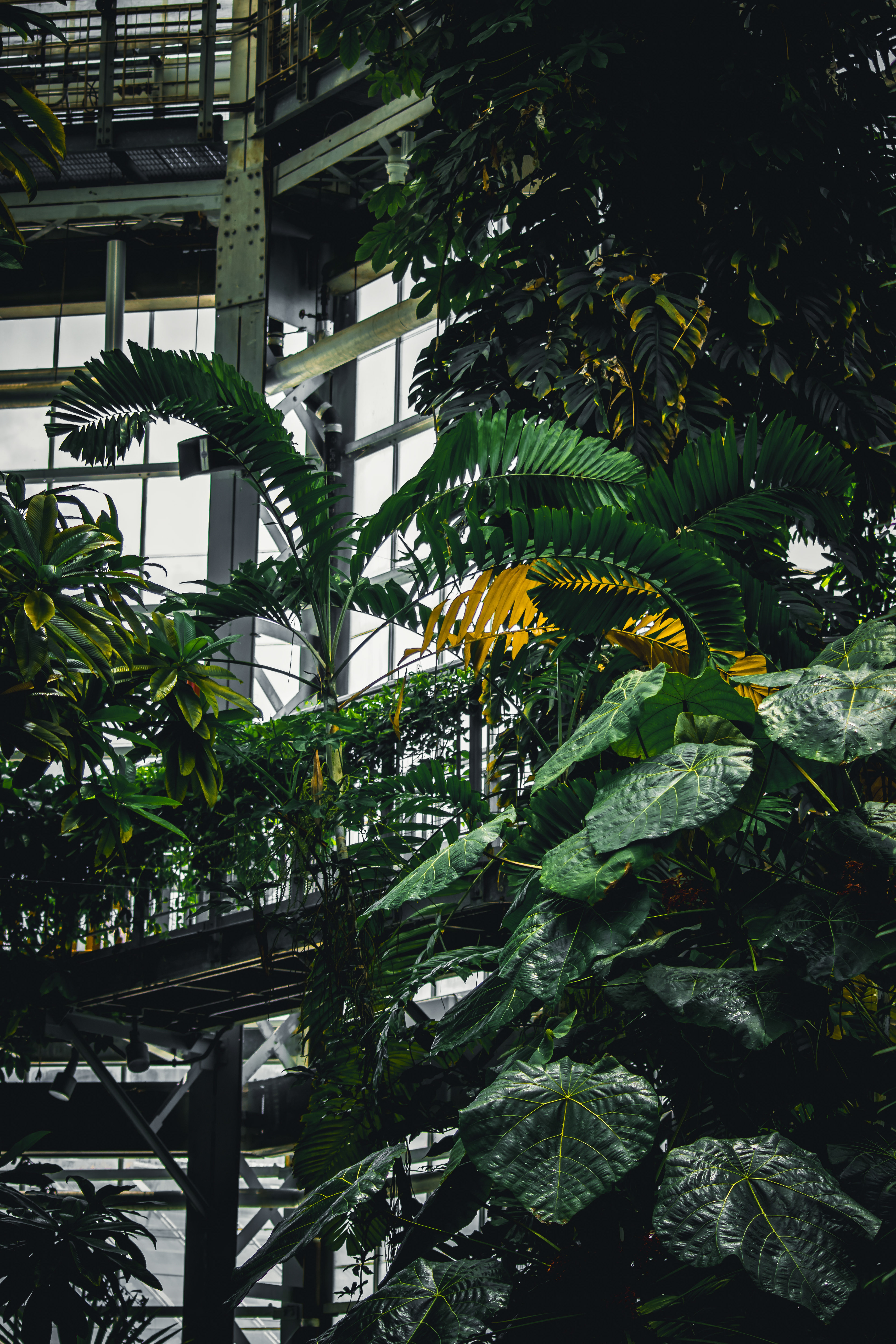 Botanic Garden Washington