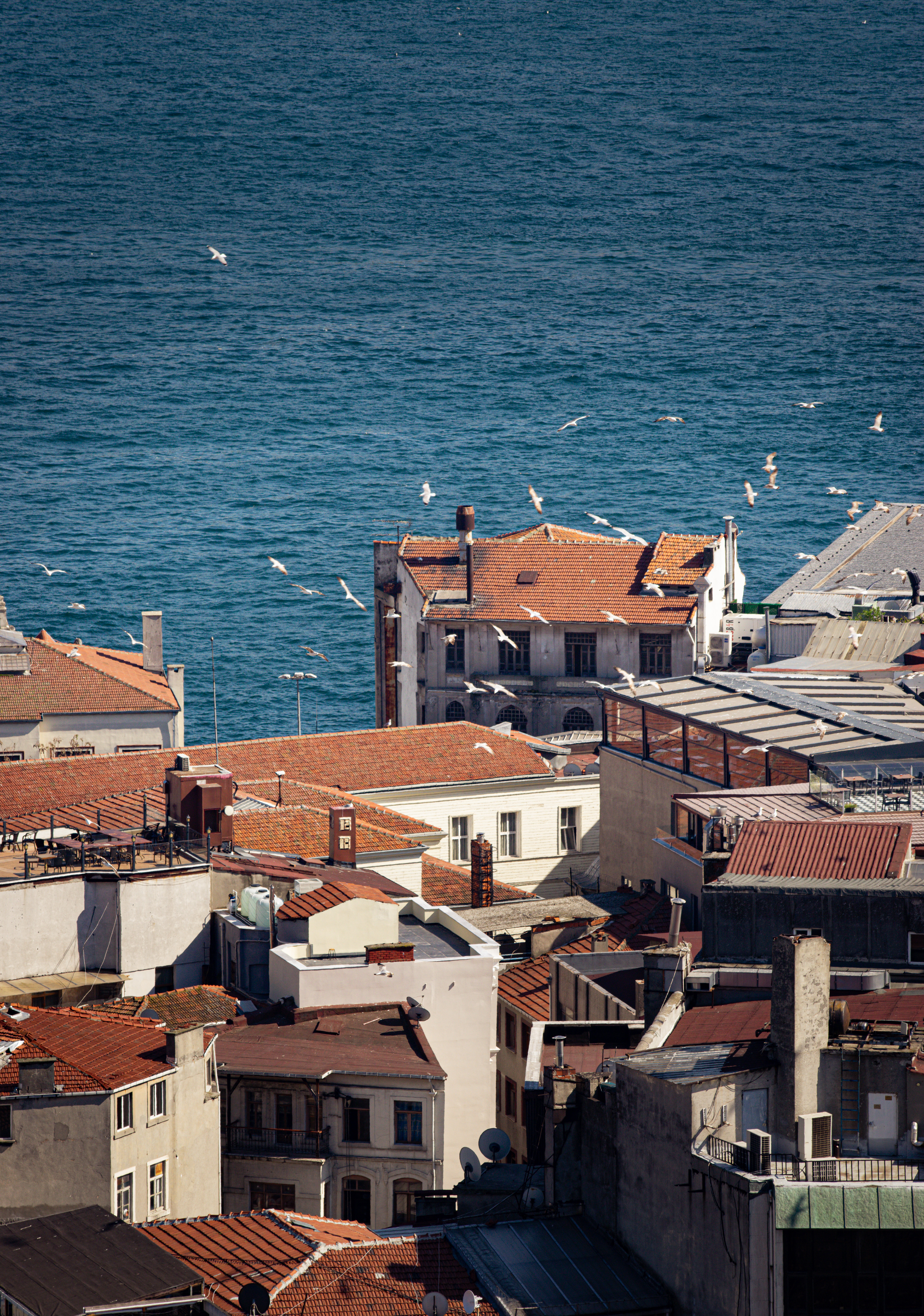 Galata Tower View