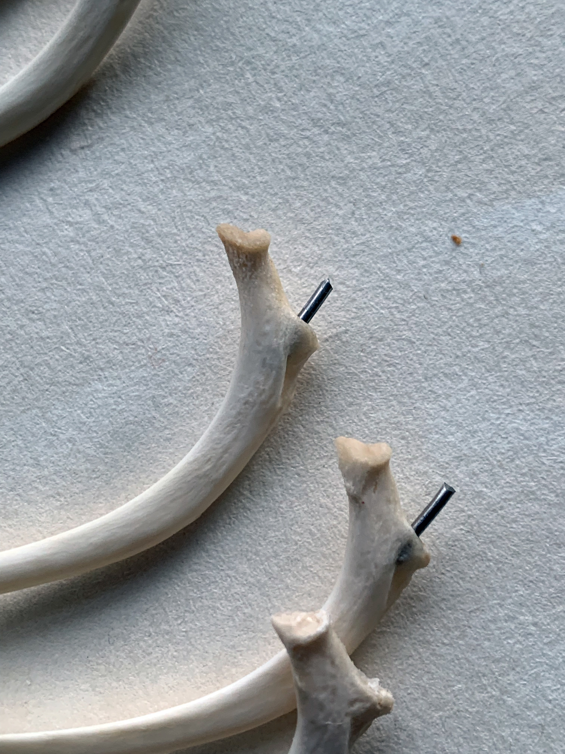 Rib connections reinforcements