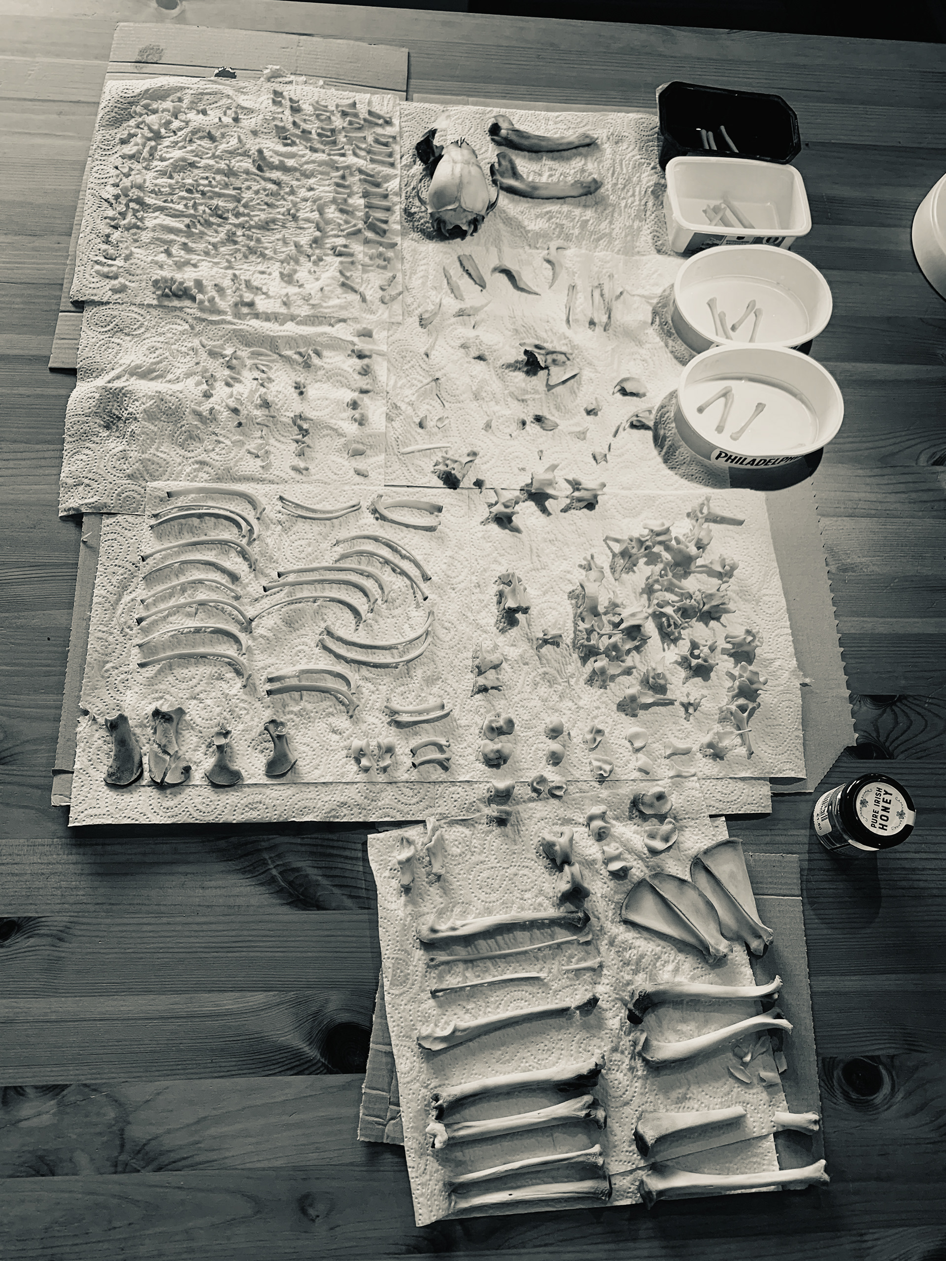 Athan's bones