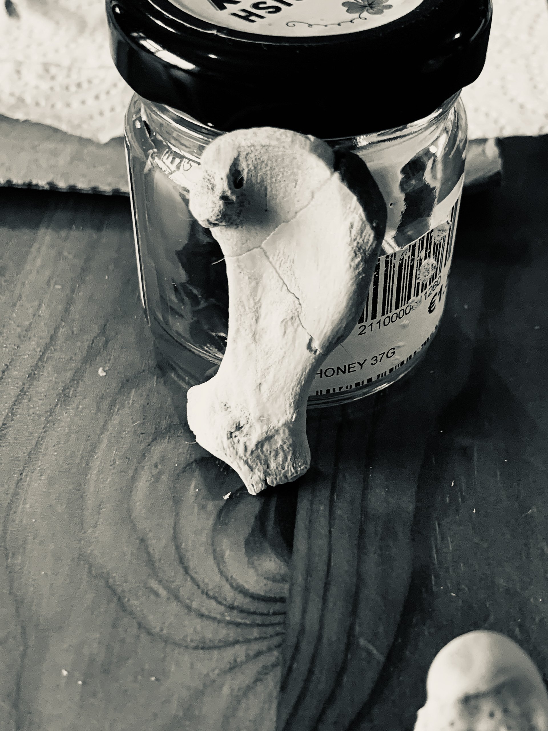 Athan's pelvis