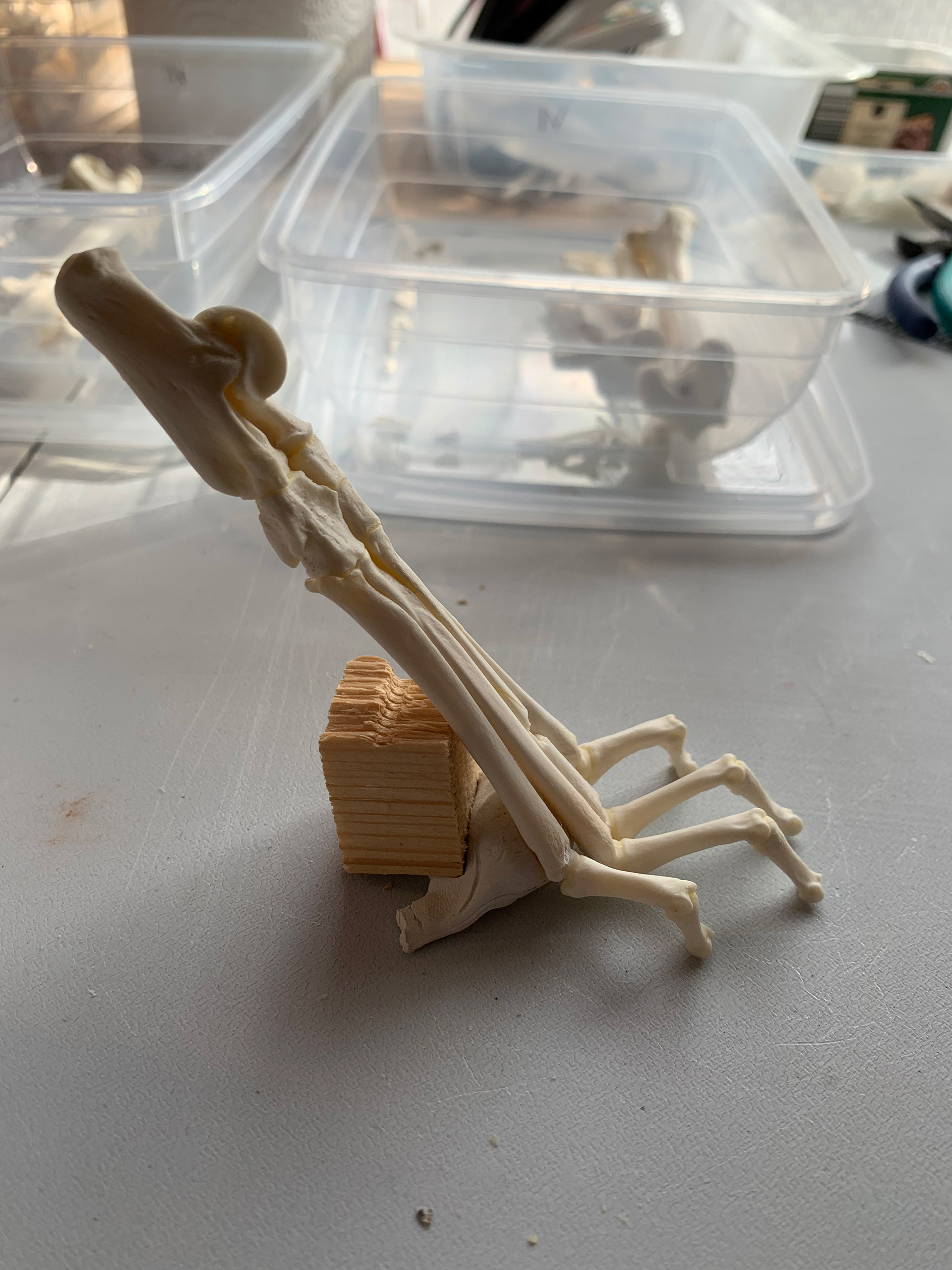 Glueing the feet