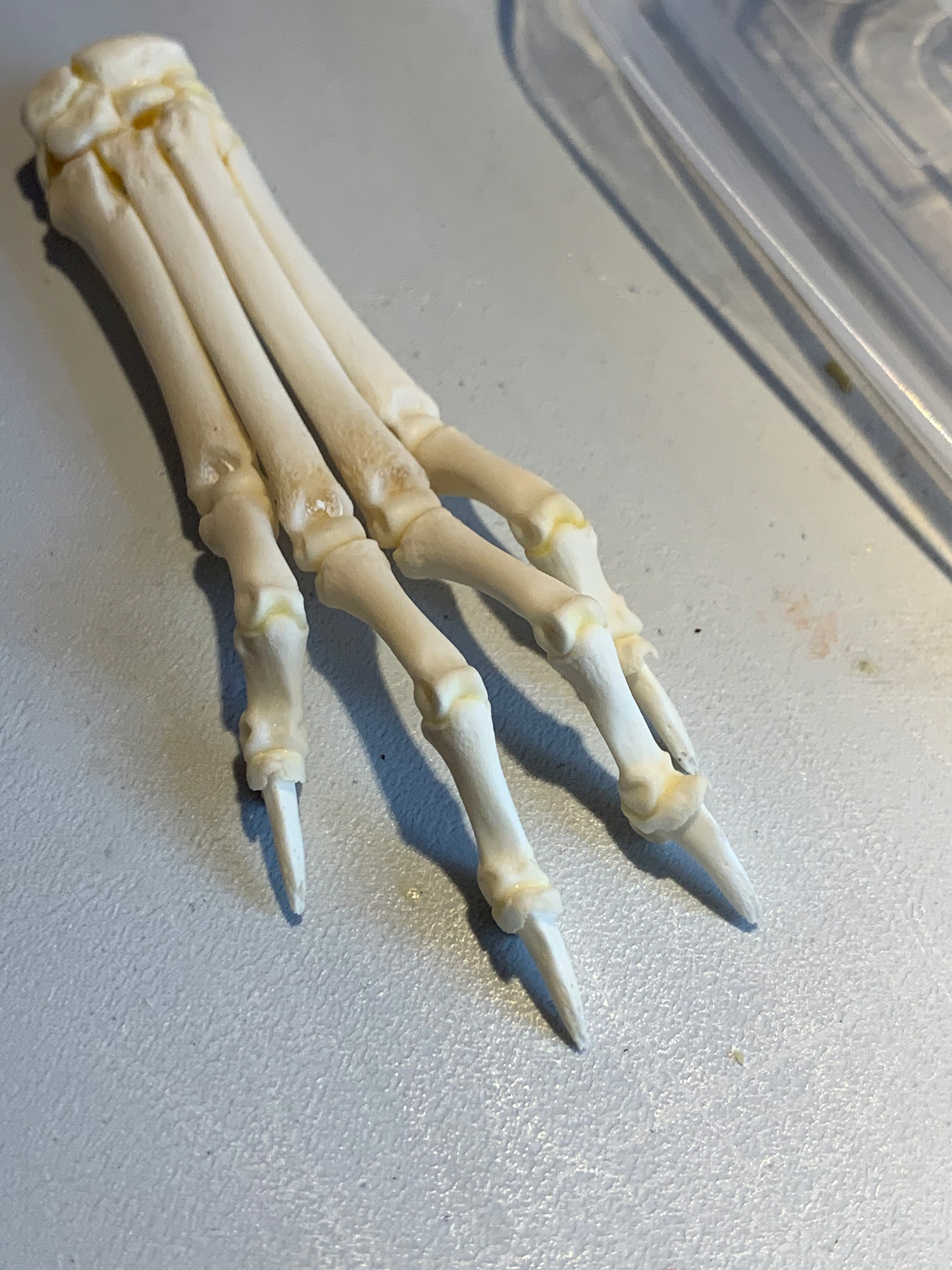 Glueing the hands