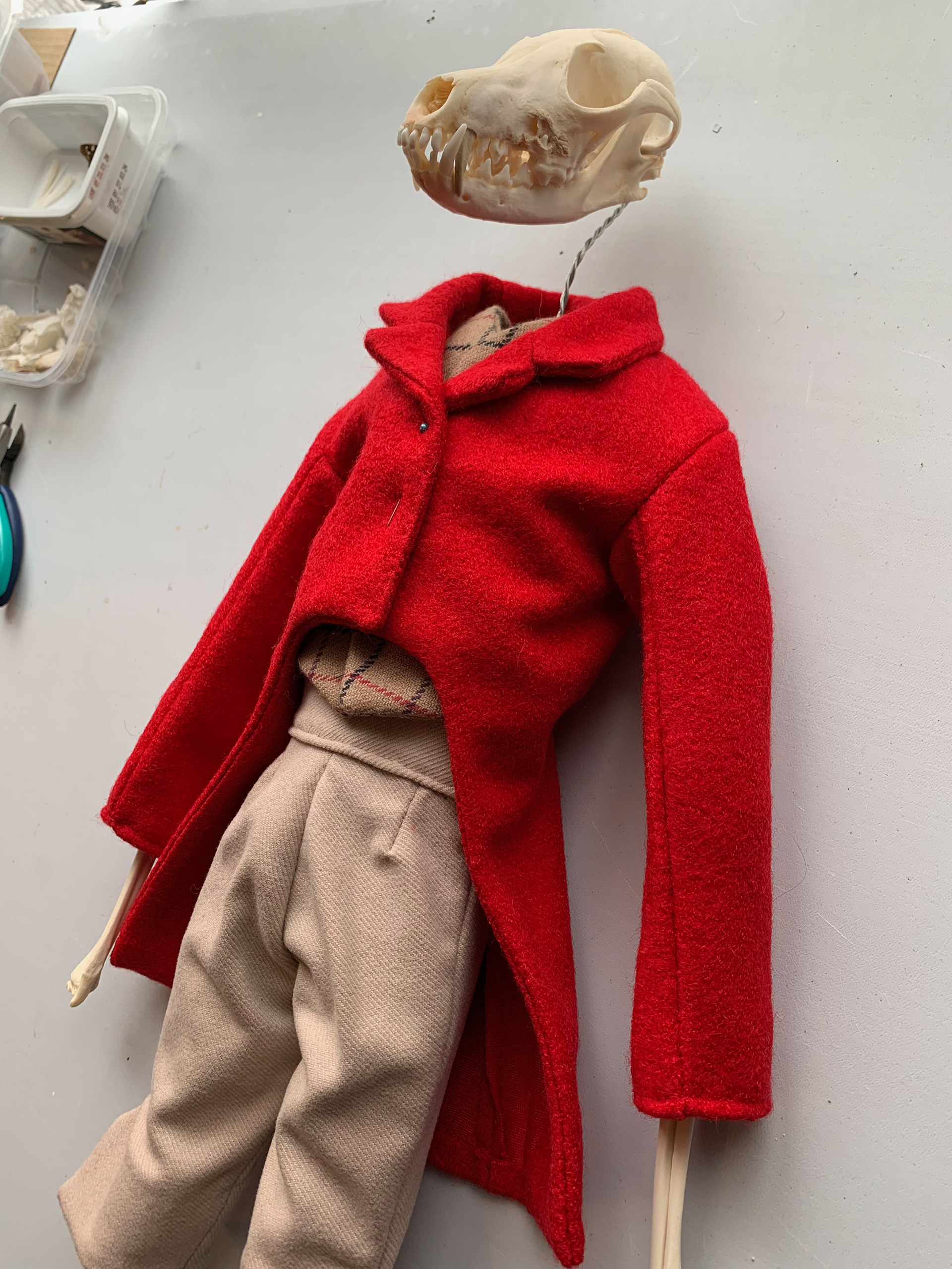 Tail coat, waist coat and breeches