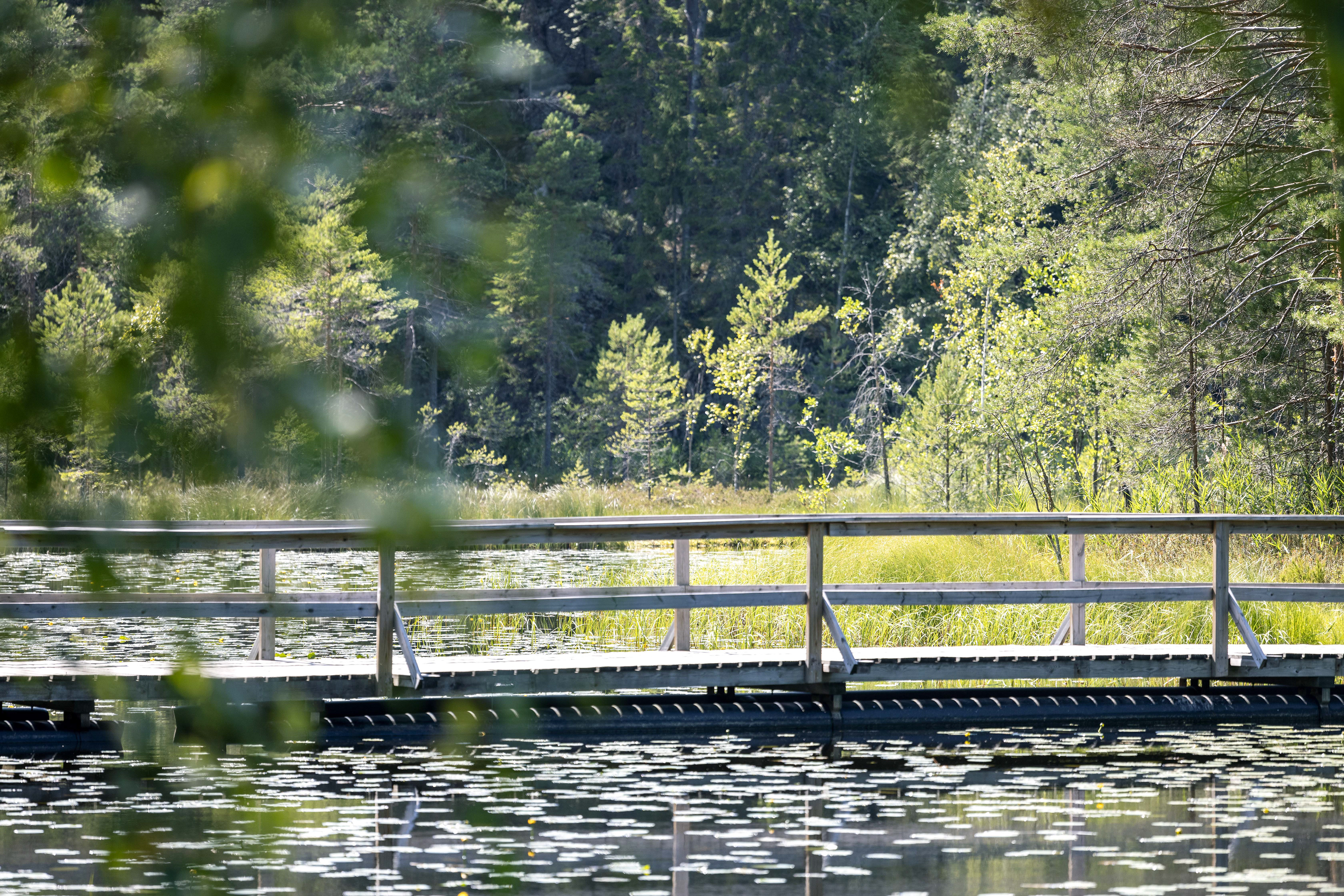 Nuuksio 2022
