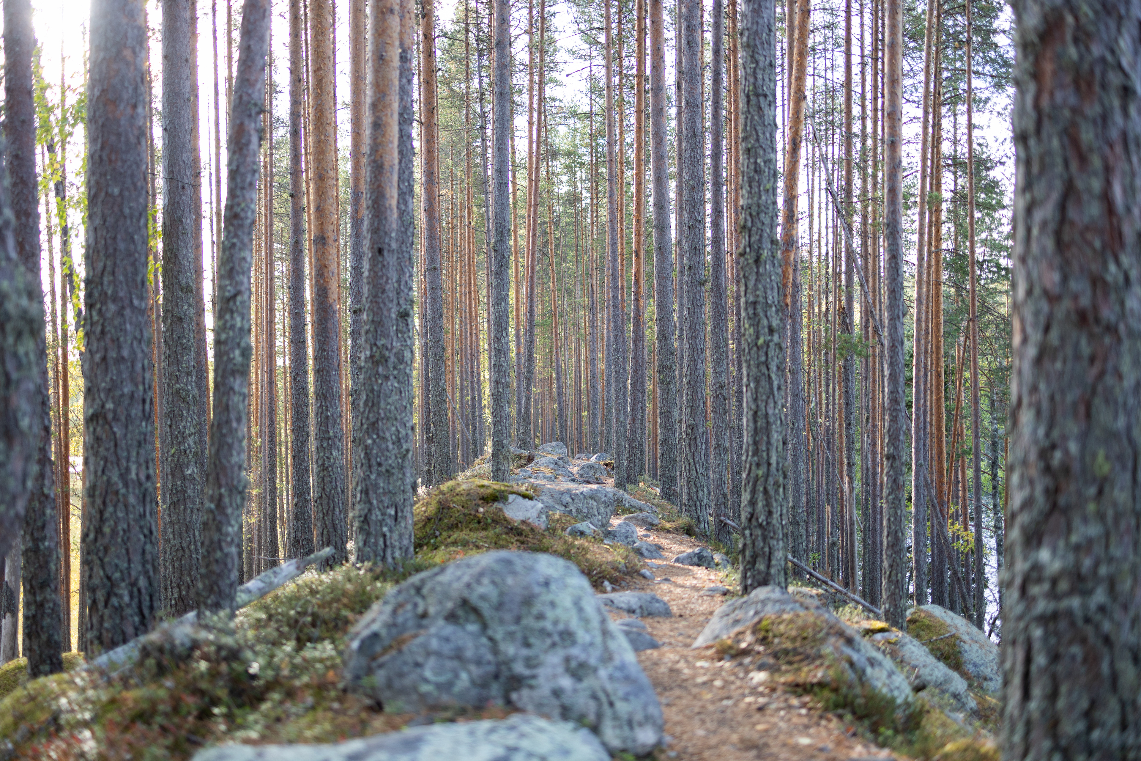 Petkeljärvi Nationalpark 2024  27/41