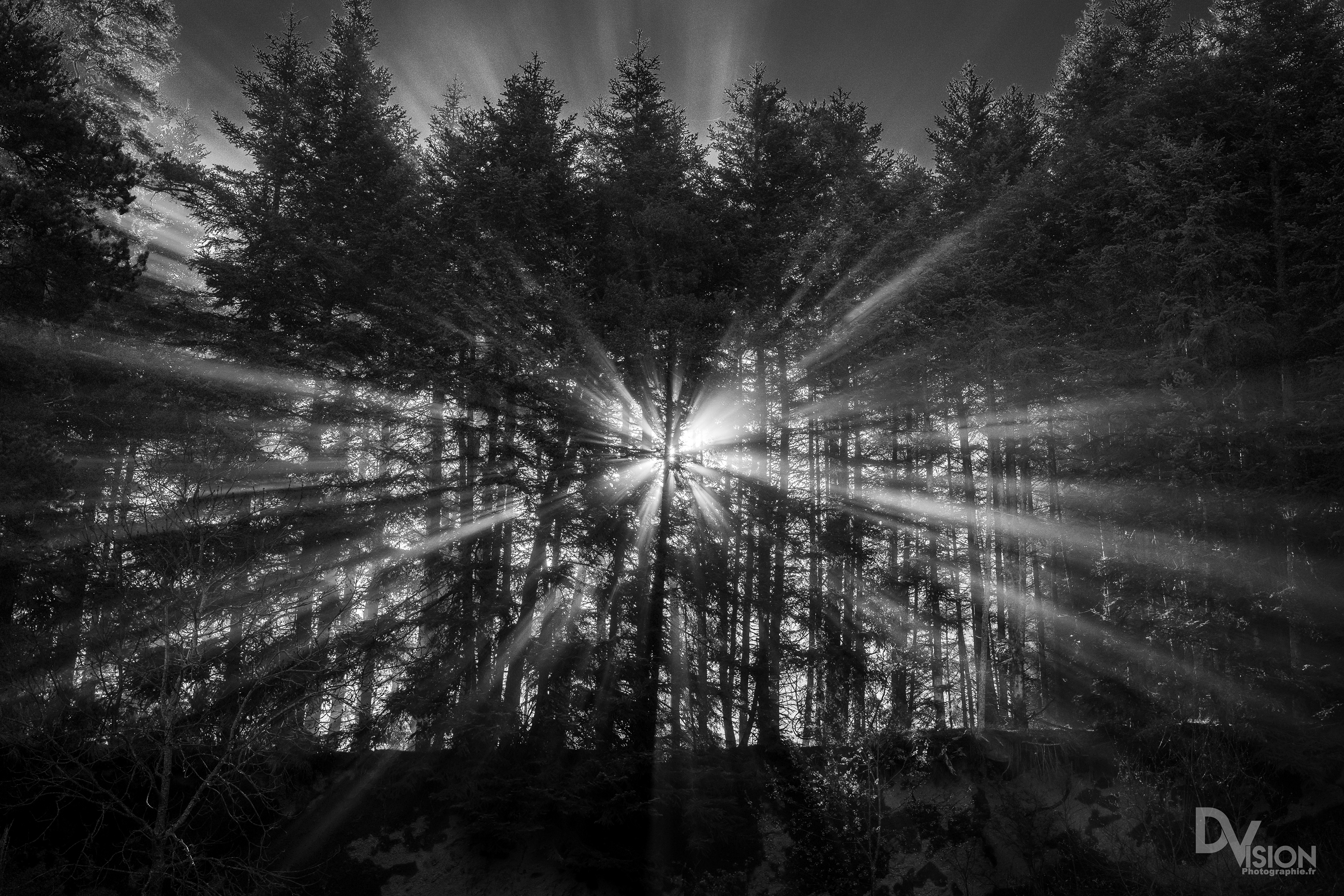 Levée de soleil