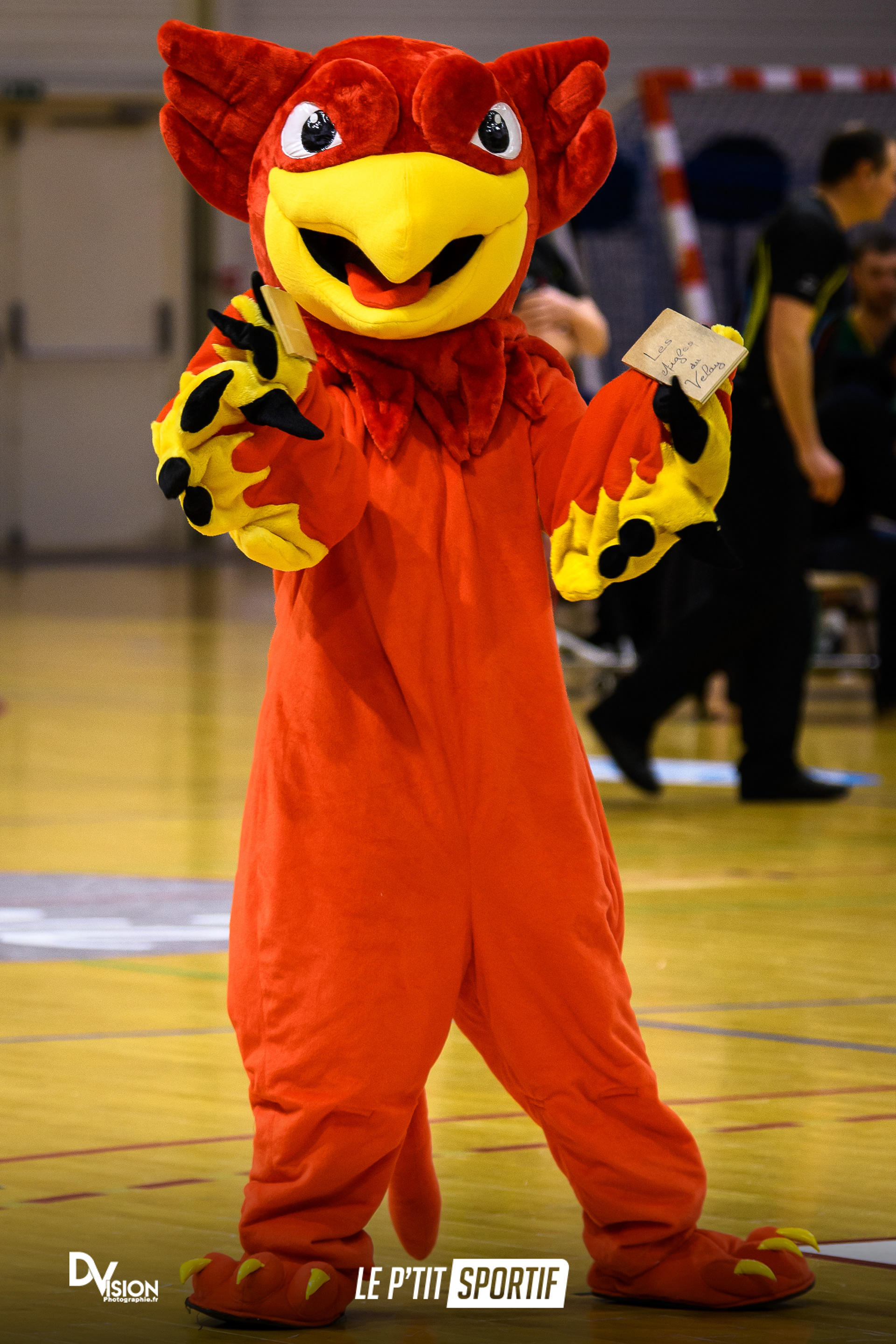 Les Aigles du Velay / Lannion