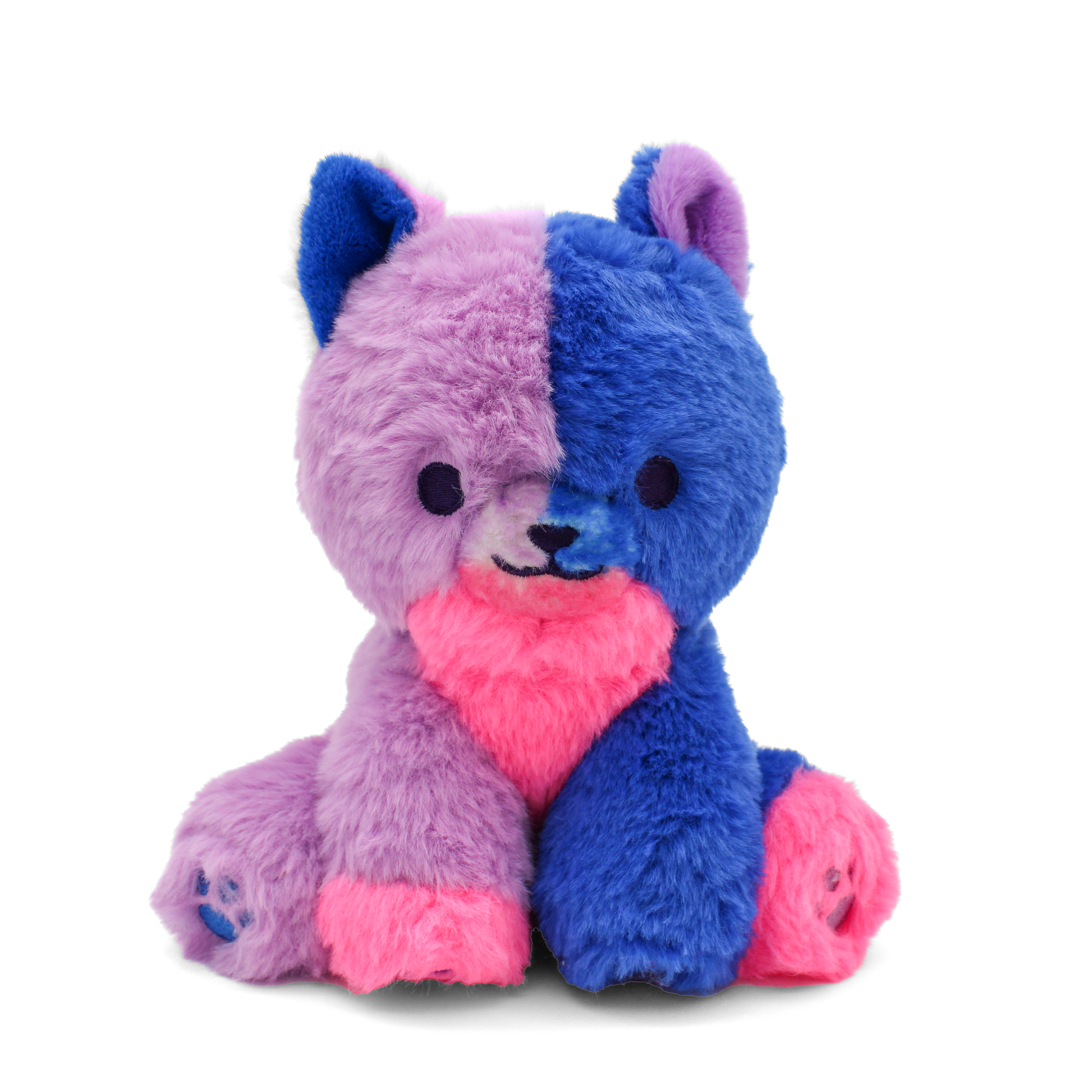indigo the colorful kitty