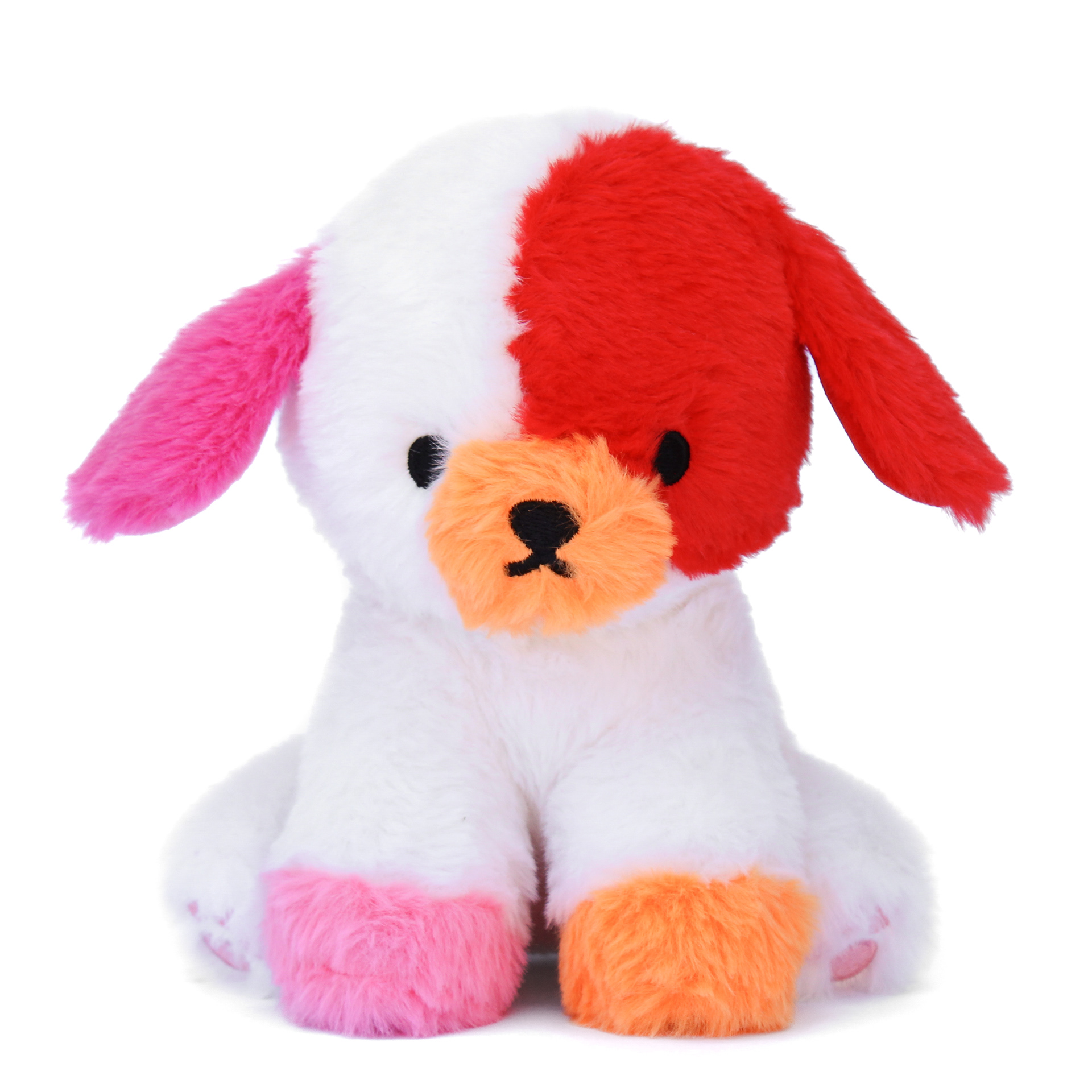 scarlet the colorful puppy