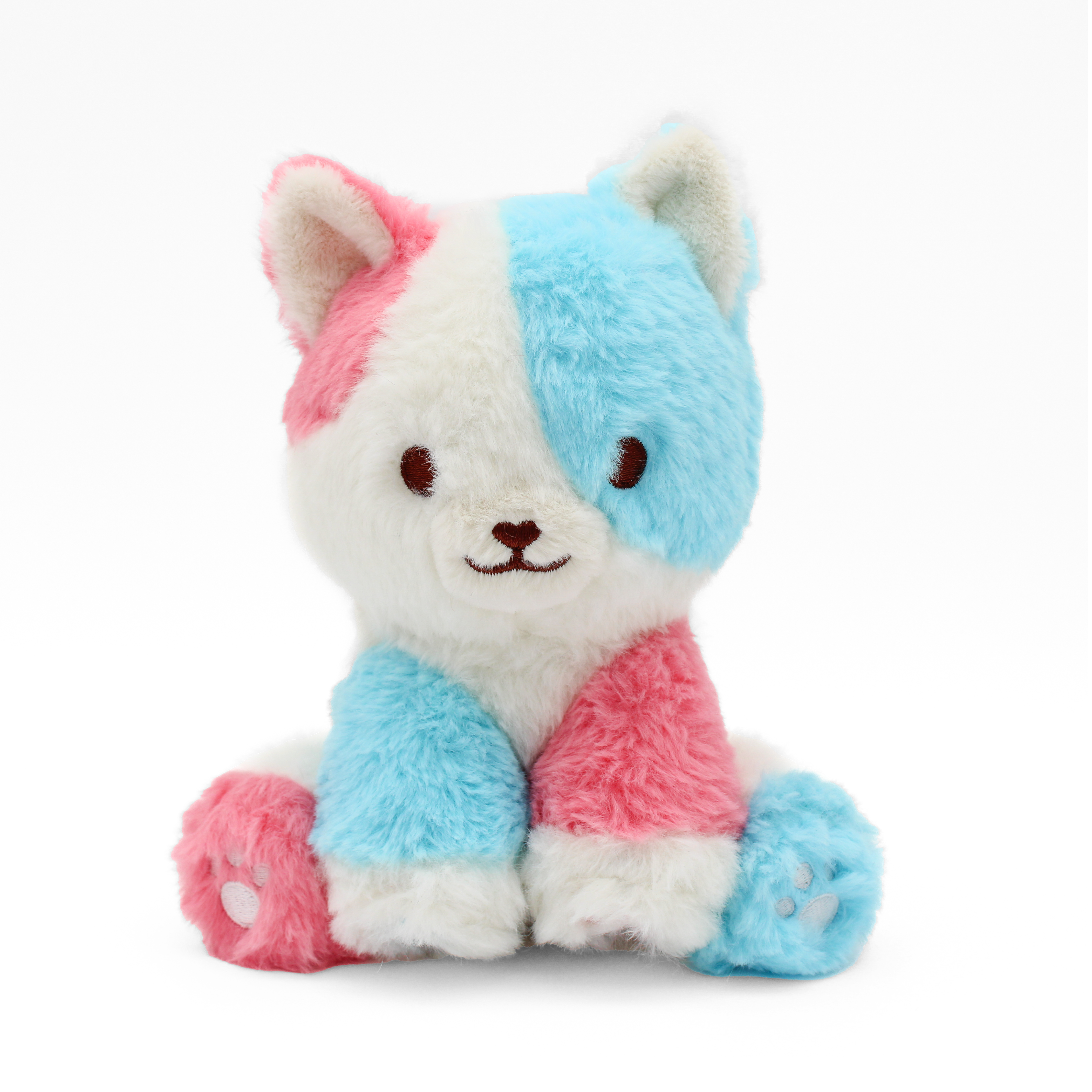 taffy the colorful kitty