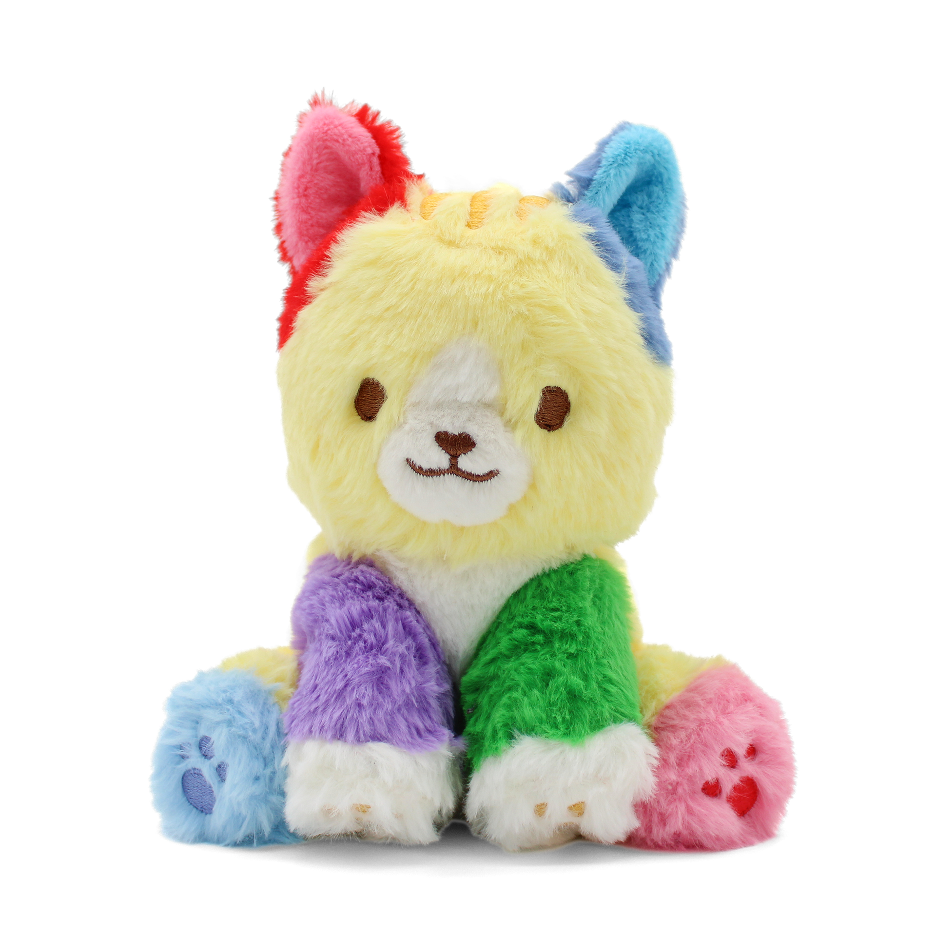 pickles the colorful kitty