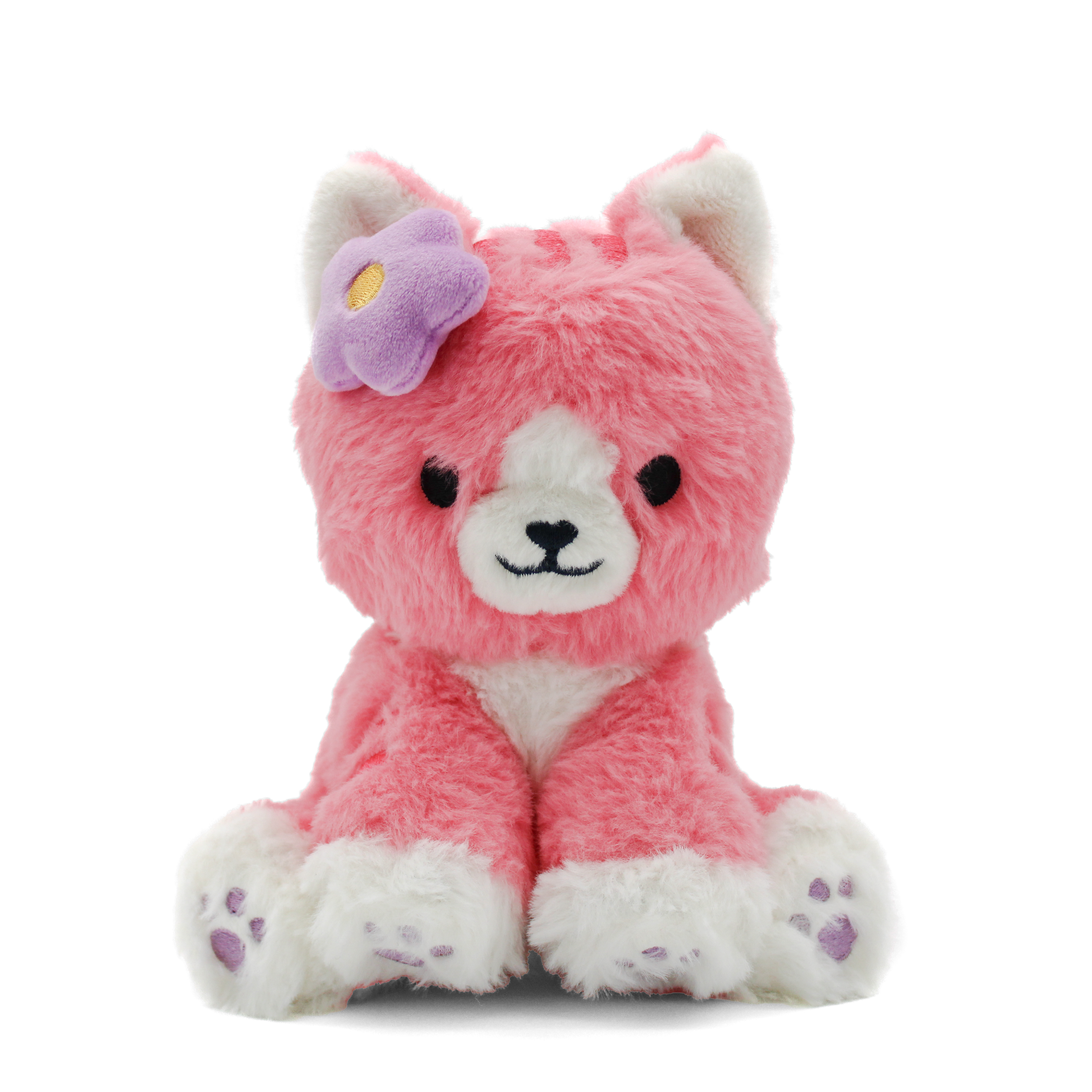 violet the colorful kitty