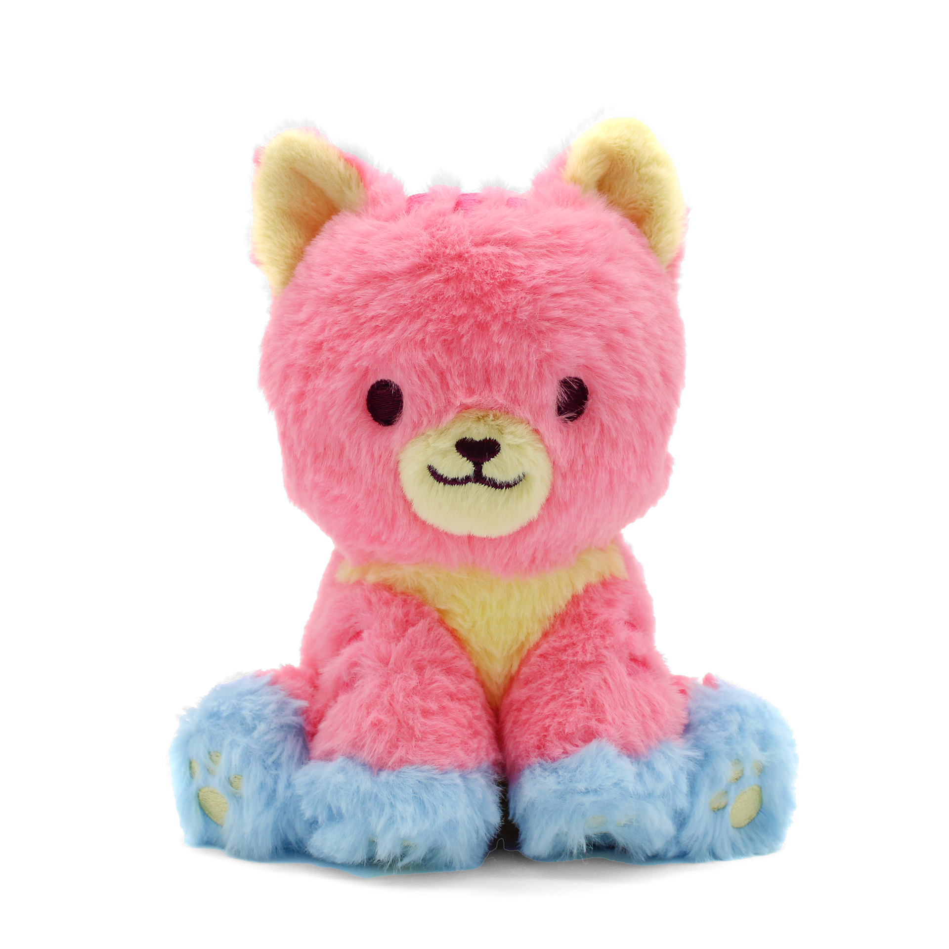 cupcake the colorful kitty