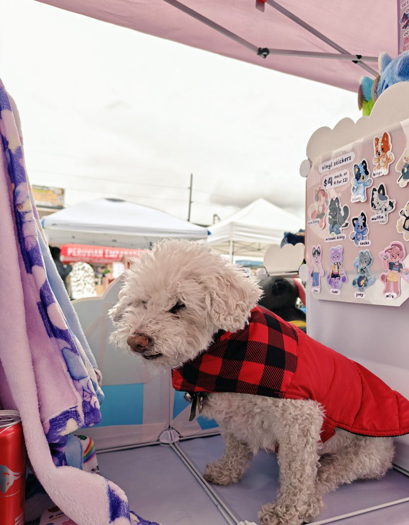 my 16+ year old senior dog comes with me to local events sometimes. (only if he's allowed :D)