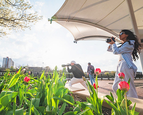 Photo Walk at Lords Park