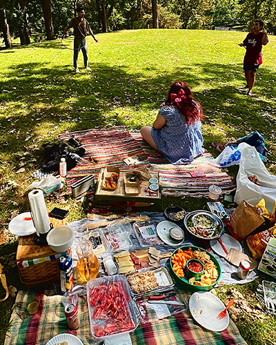 Summer Artist Picnic