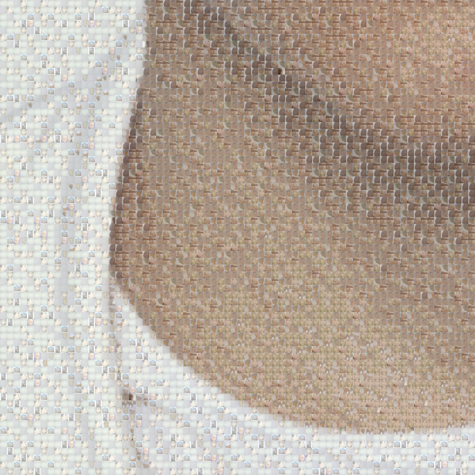 FLESH