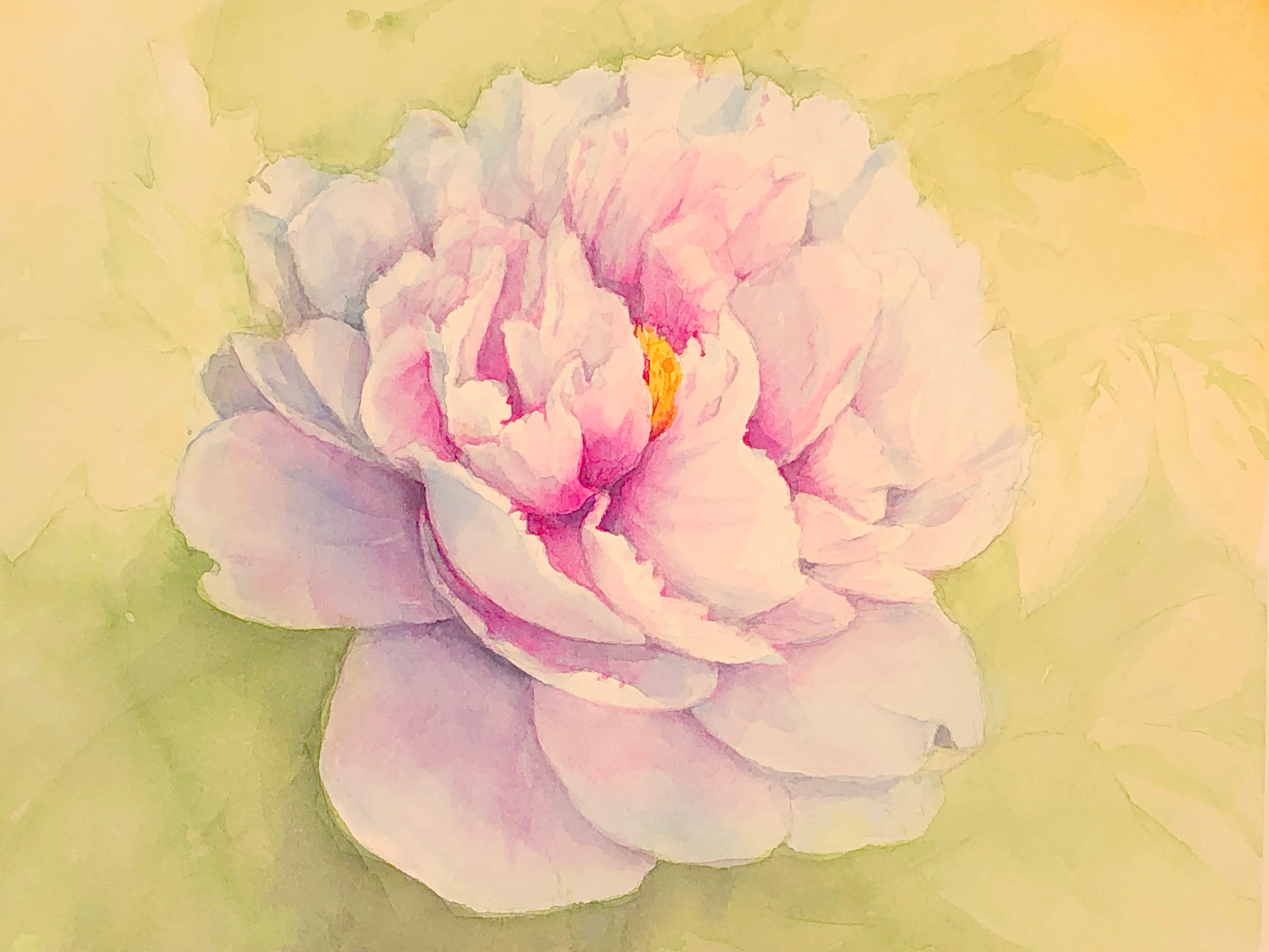 芍薬Ⅰ