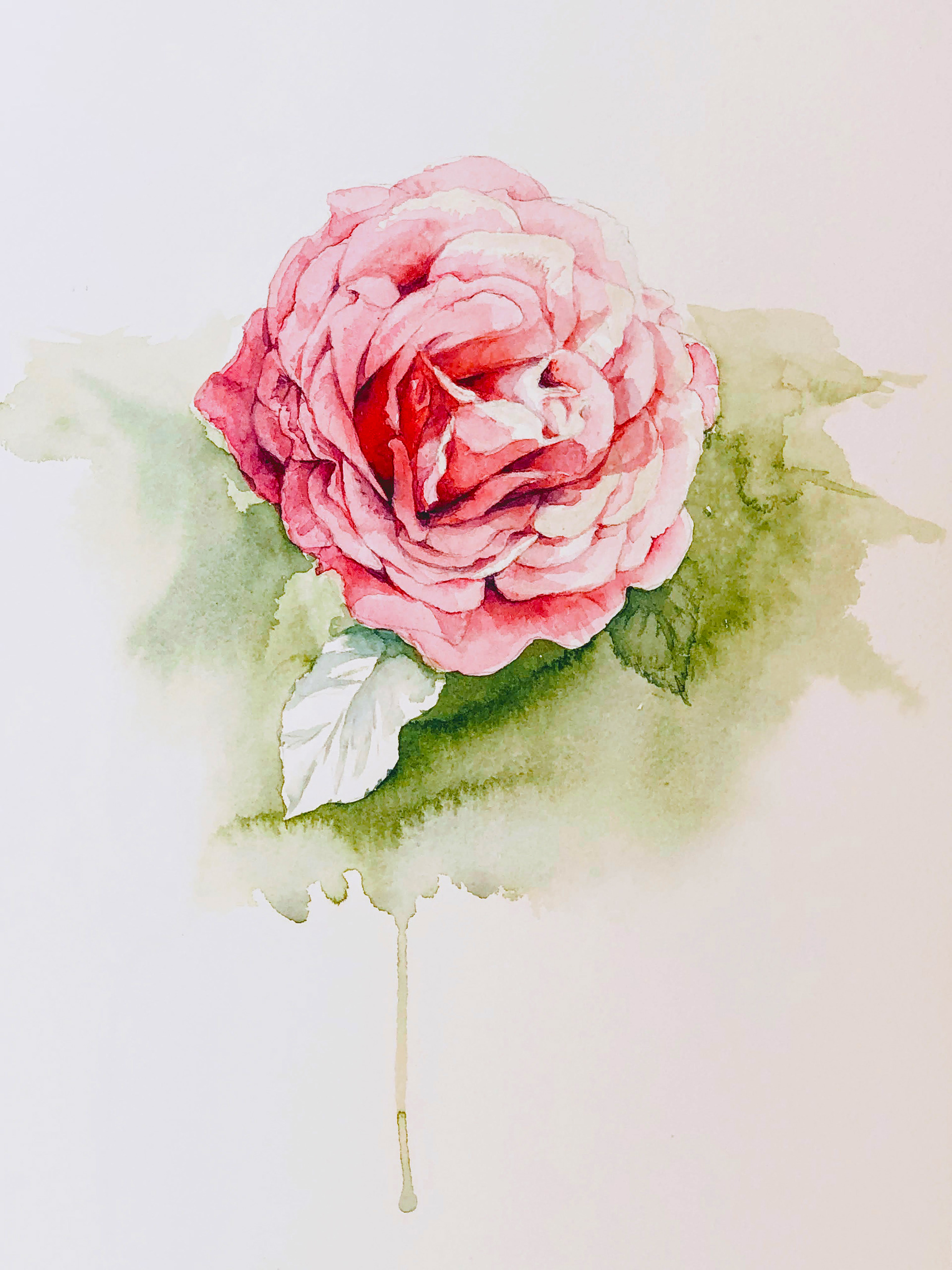 薔薇Ⅱ