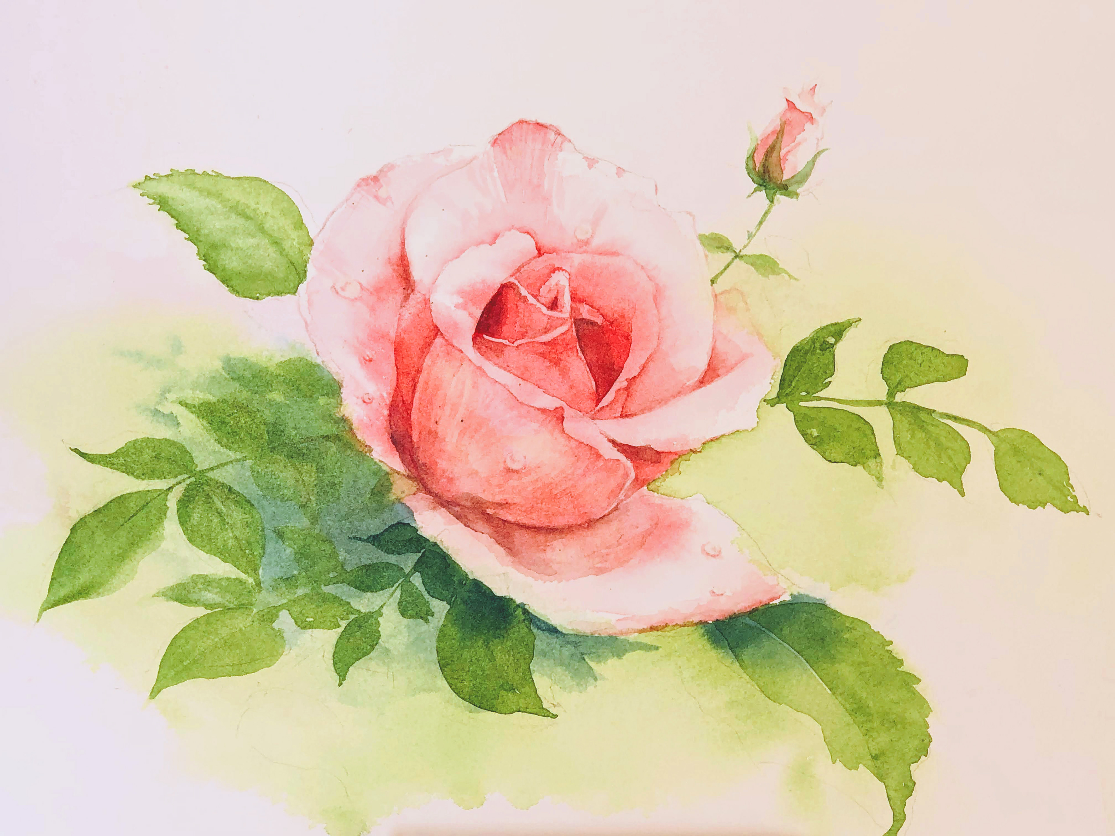 薔薇Ⅰ