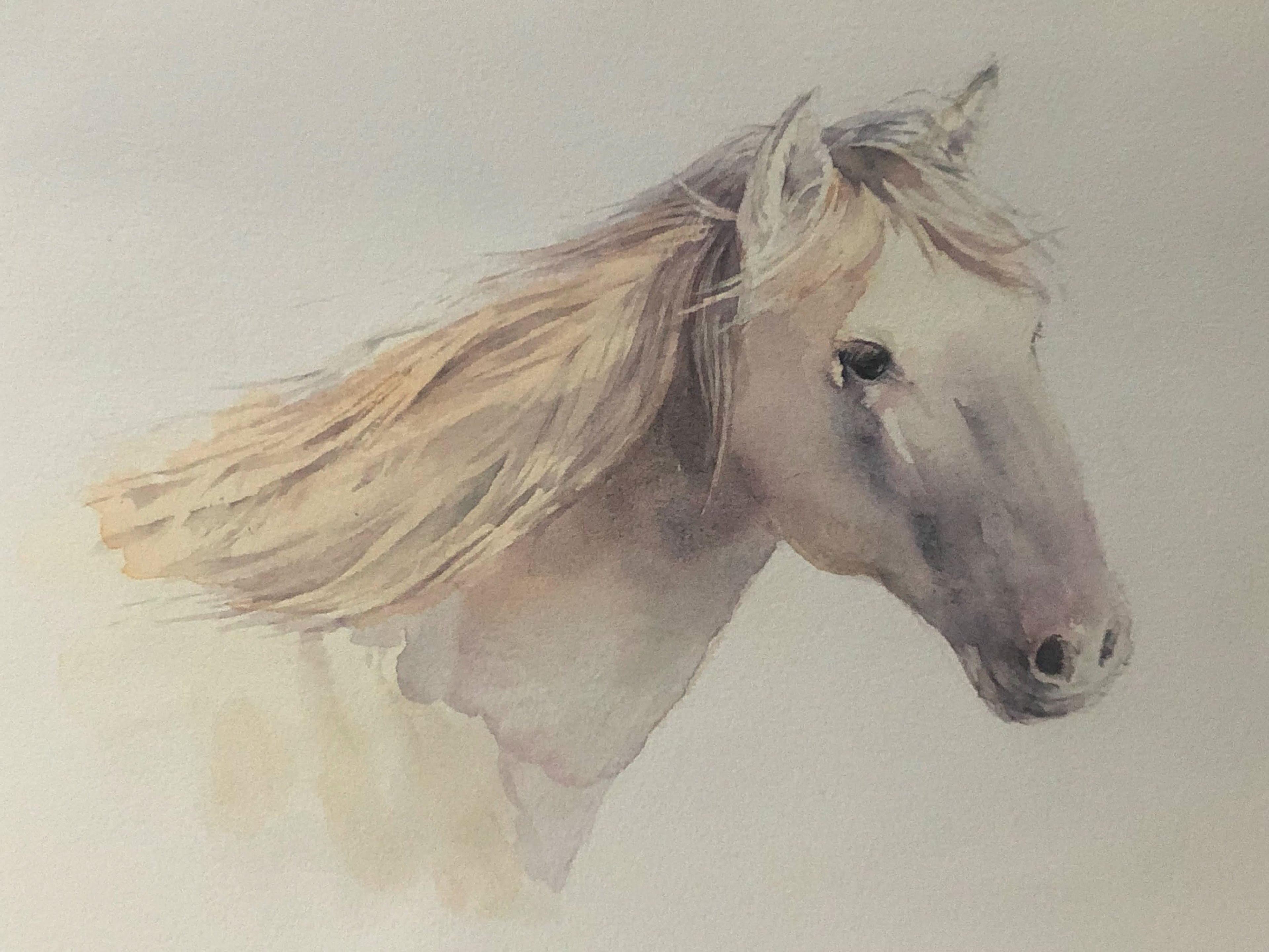 馬