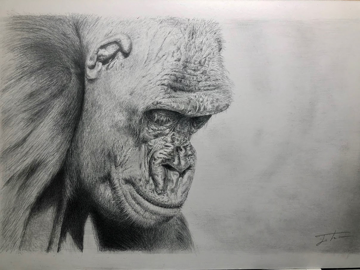 鉛筆習作(動物Ⅲ)