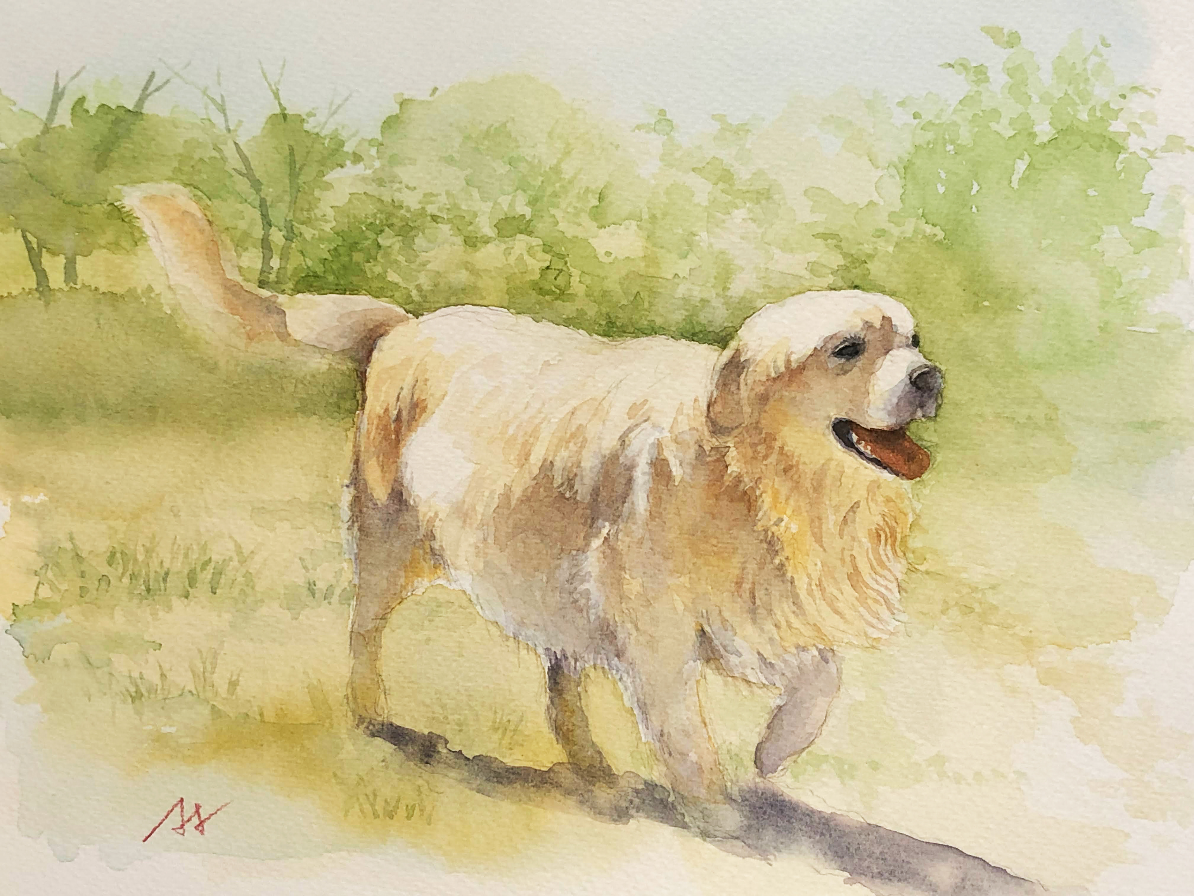 犬