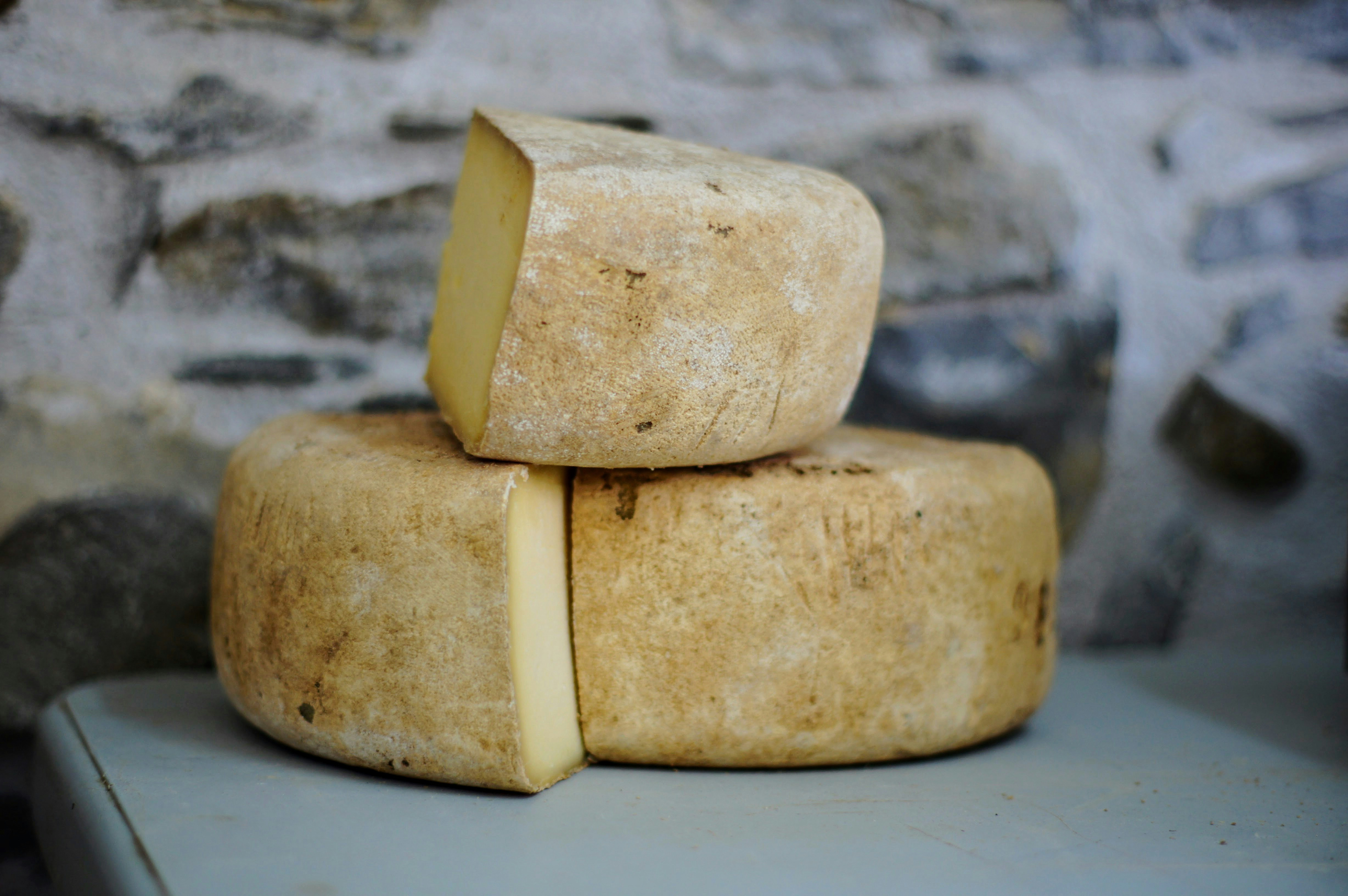 A very old cheese laid out on a table / The Gastro Label / www.gastro-label.com