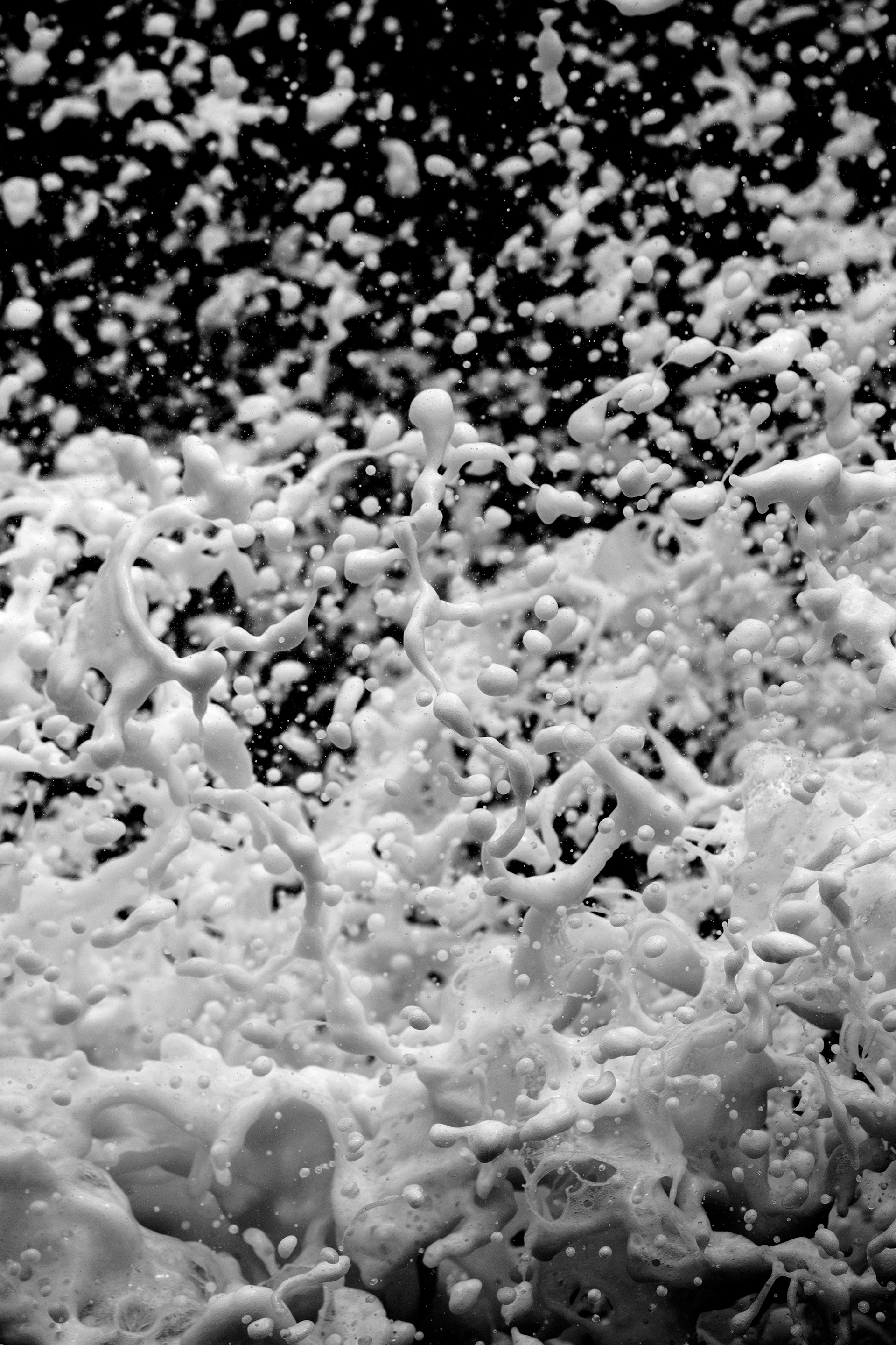Foam that is used in food / The Gastro Label / www.gastro-label.com