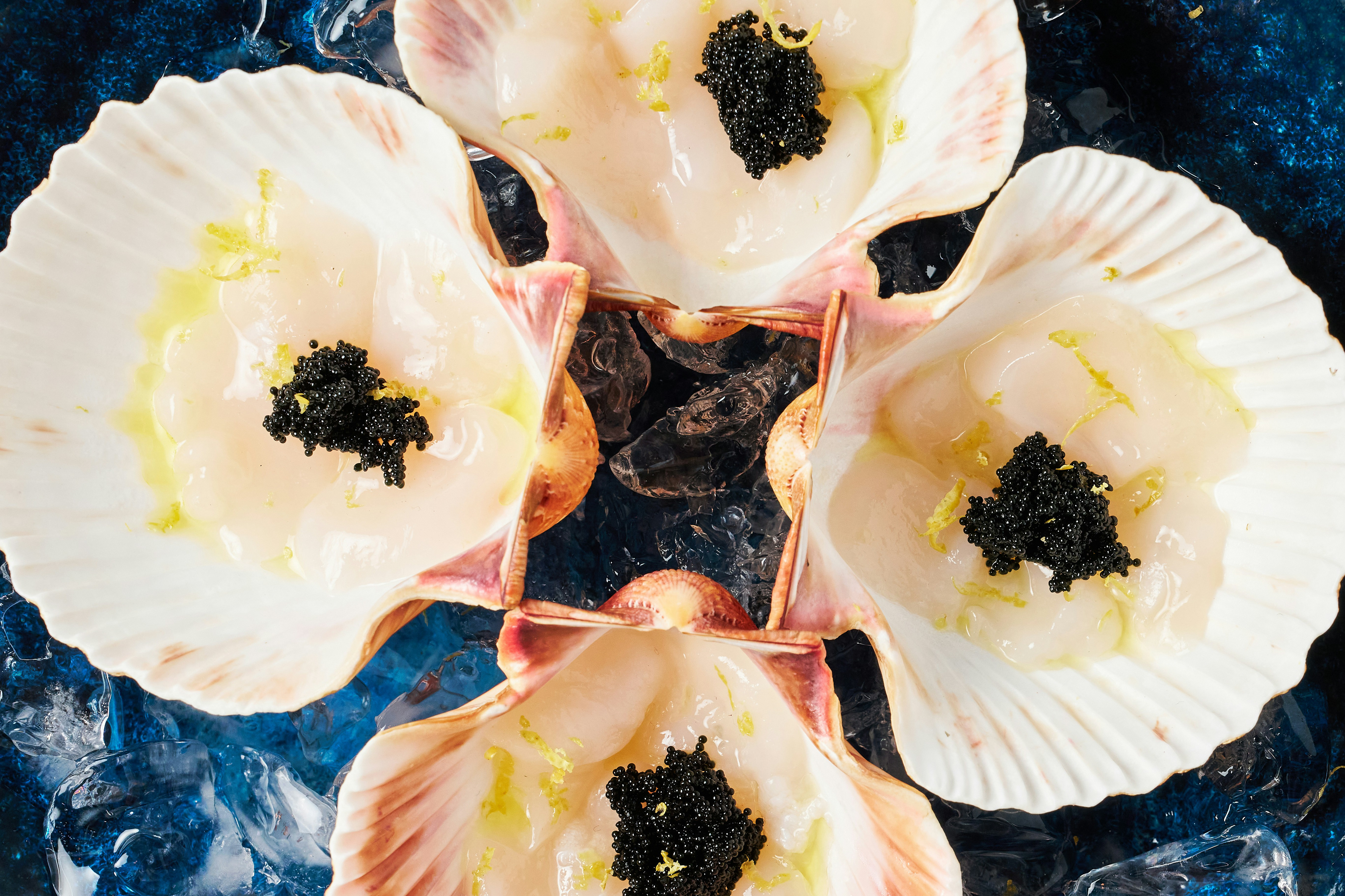 Expensive food garnished on a plate / The Gastro Label / www.gastro-label.com