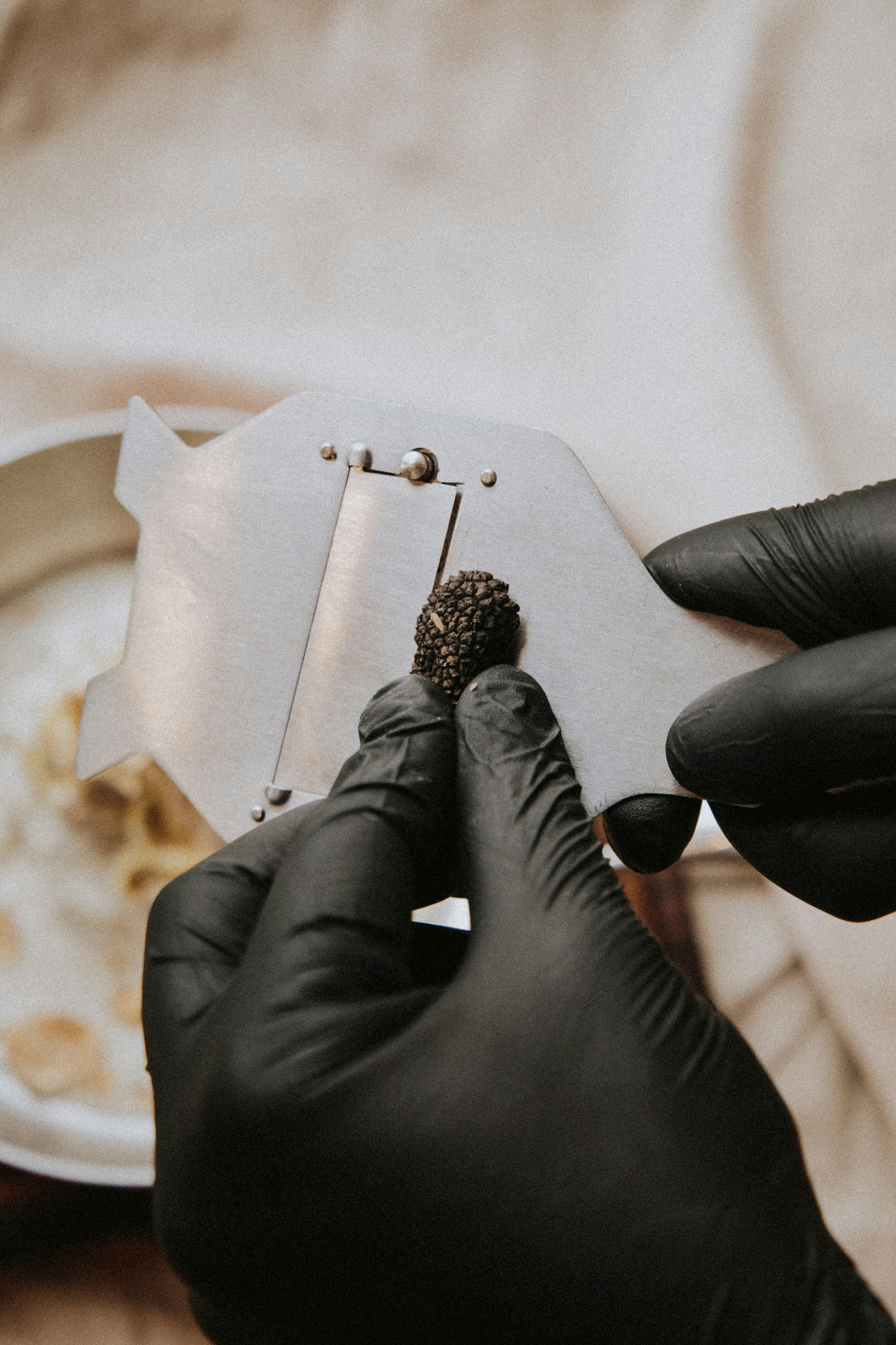 Truffle being cut with a truffle cutter by a man with black gloves / The Gastro Label / www.gastro-label.com