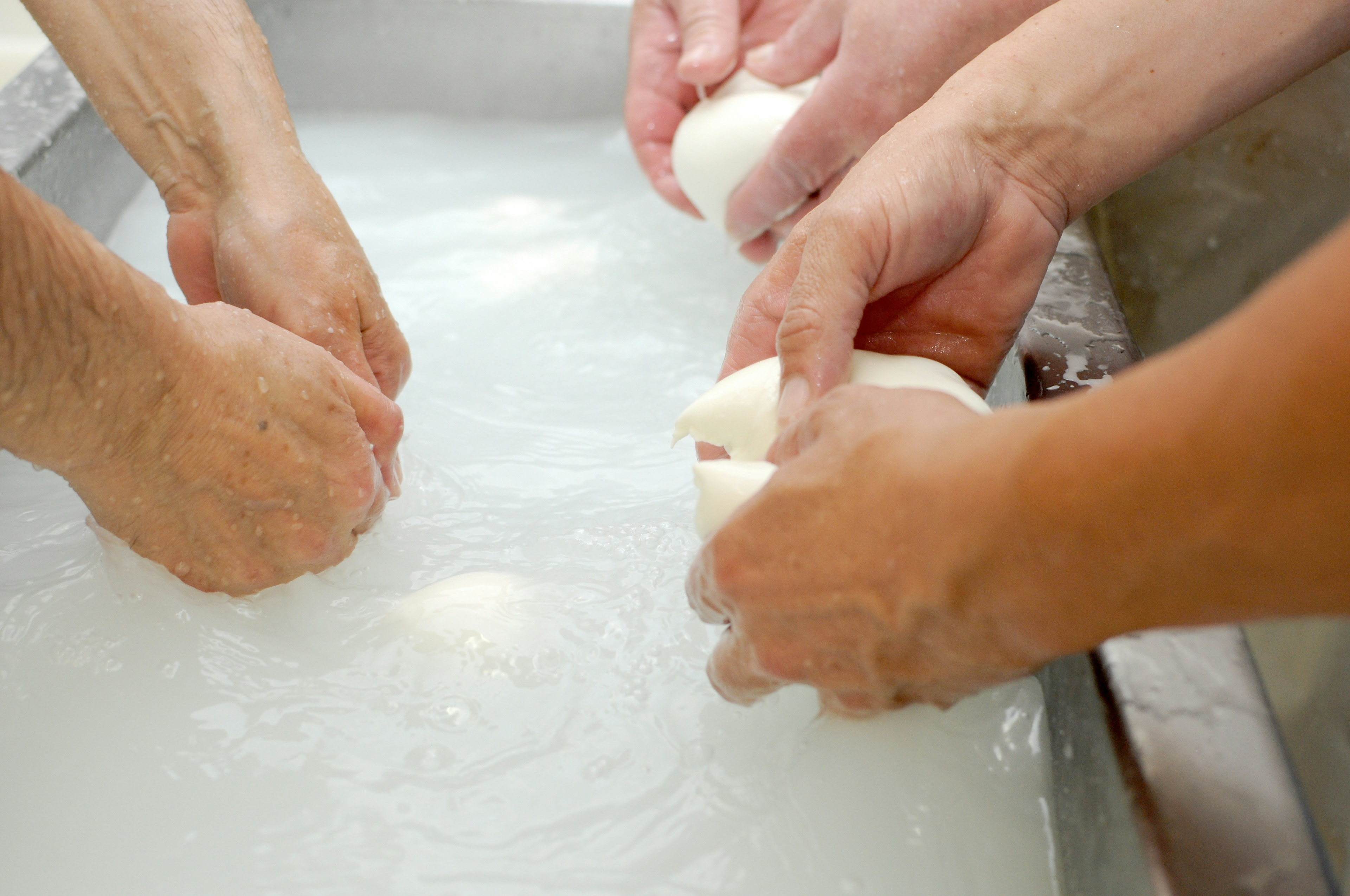 Making Mozzarella / The Gastro Label Magazine