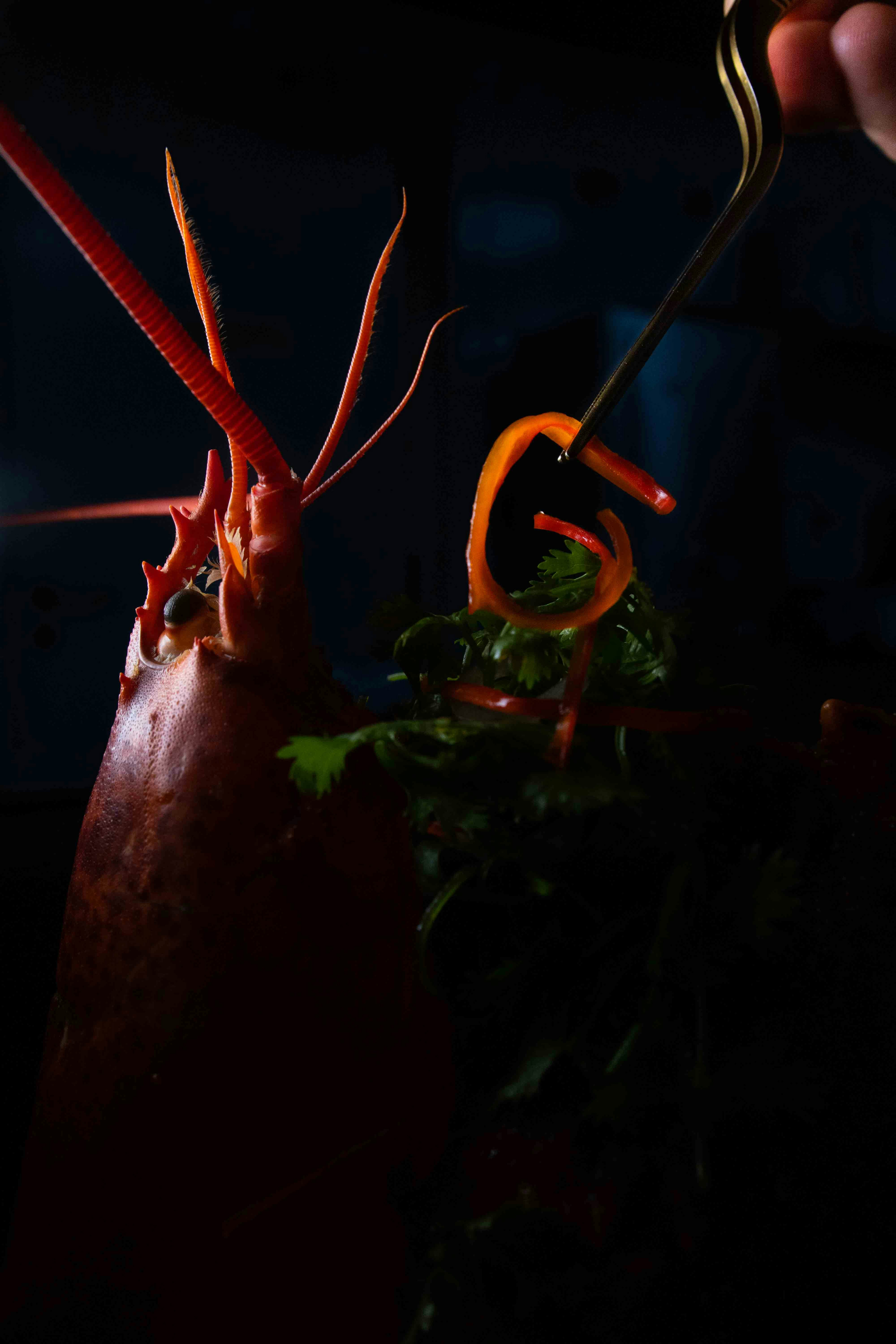 A very elegant picture of a Hummers / The Gastro Label Selection / www.gastro-label.com