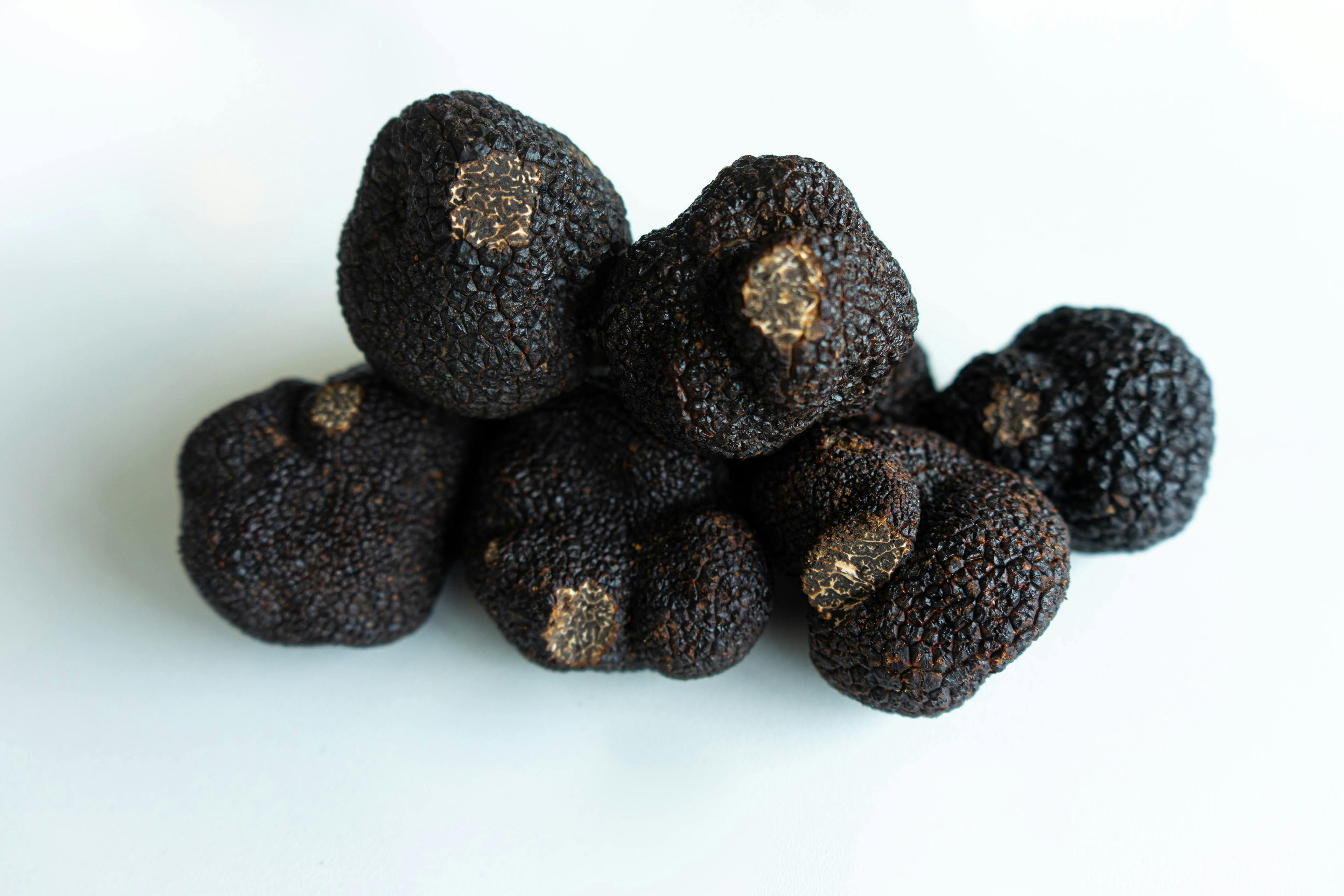Truffle / The Gastro Label / www.gastro-label.com