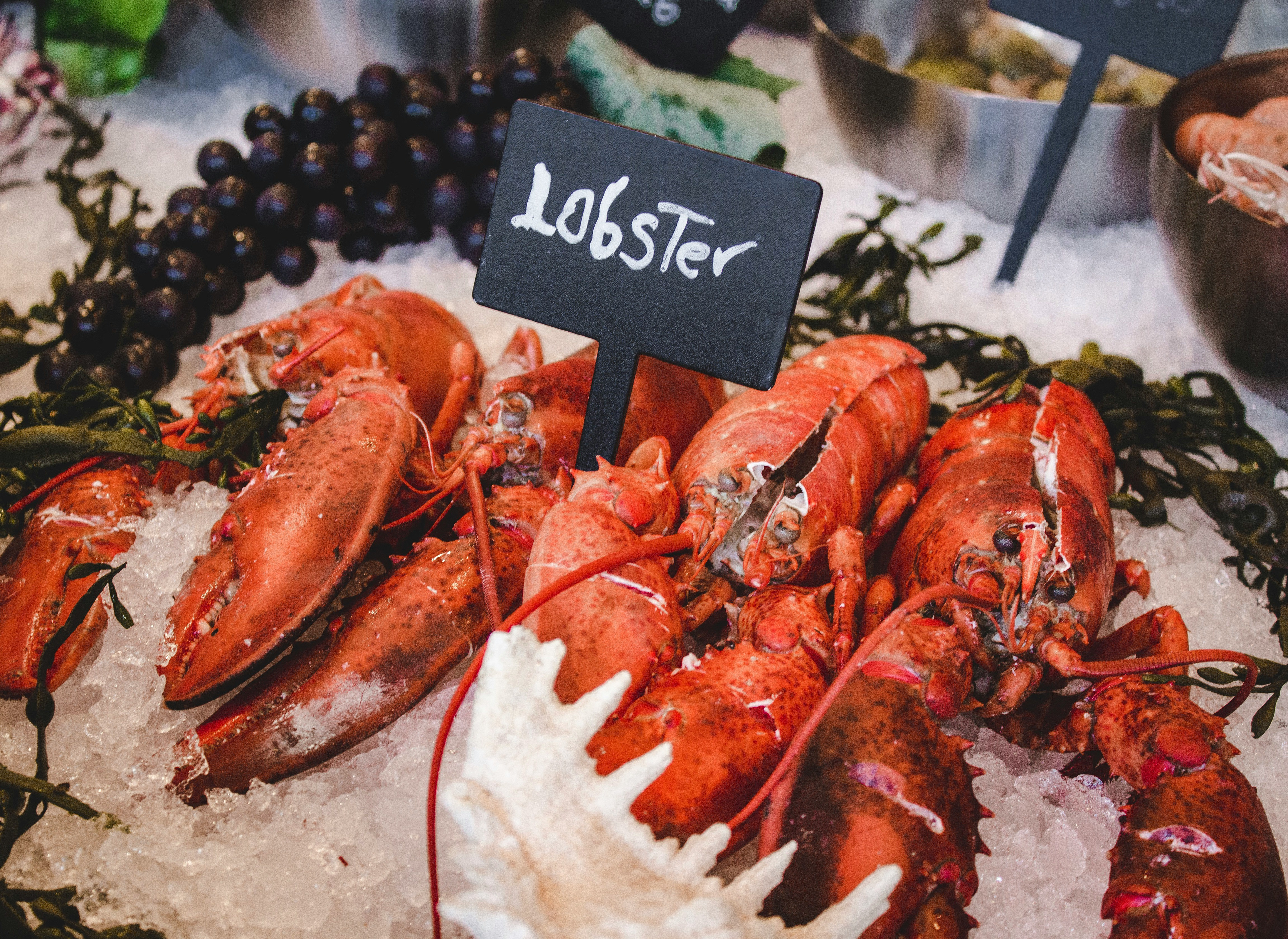 Lobster laid out on ice cubes in a display case / The Gastro Label / www.gastro-label.com