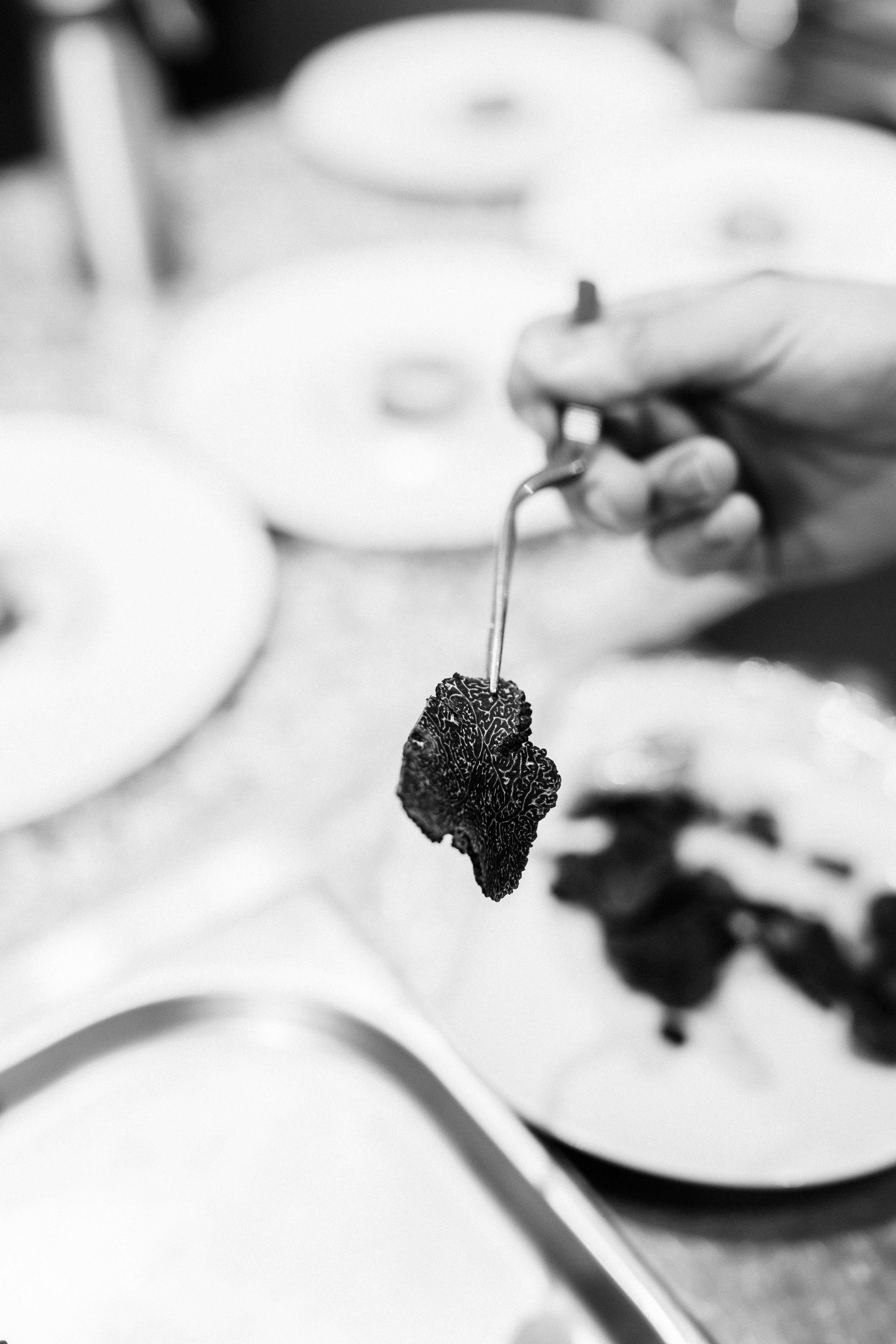 Truffle / The Gastro Label / www.gastro-label.com
