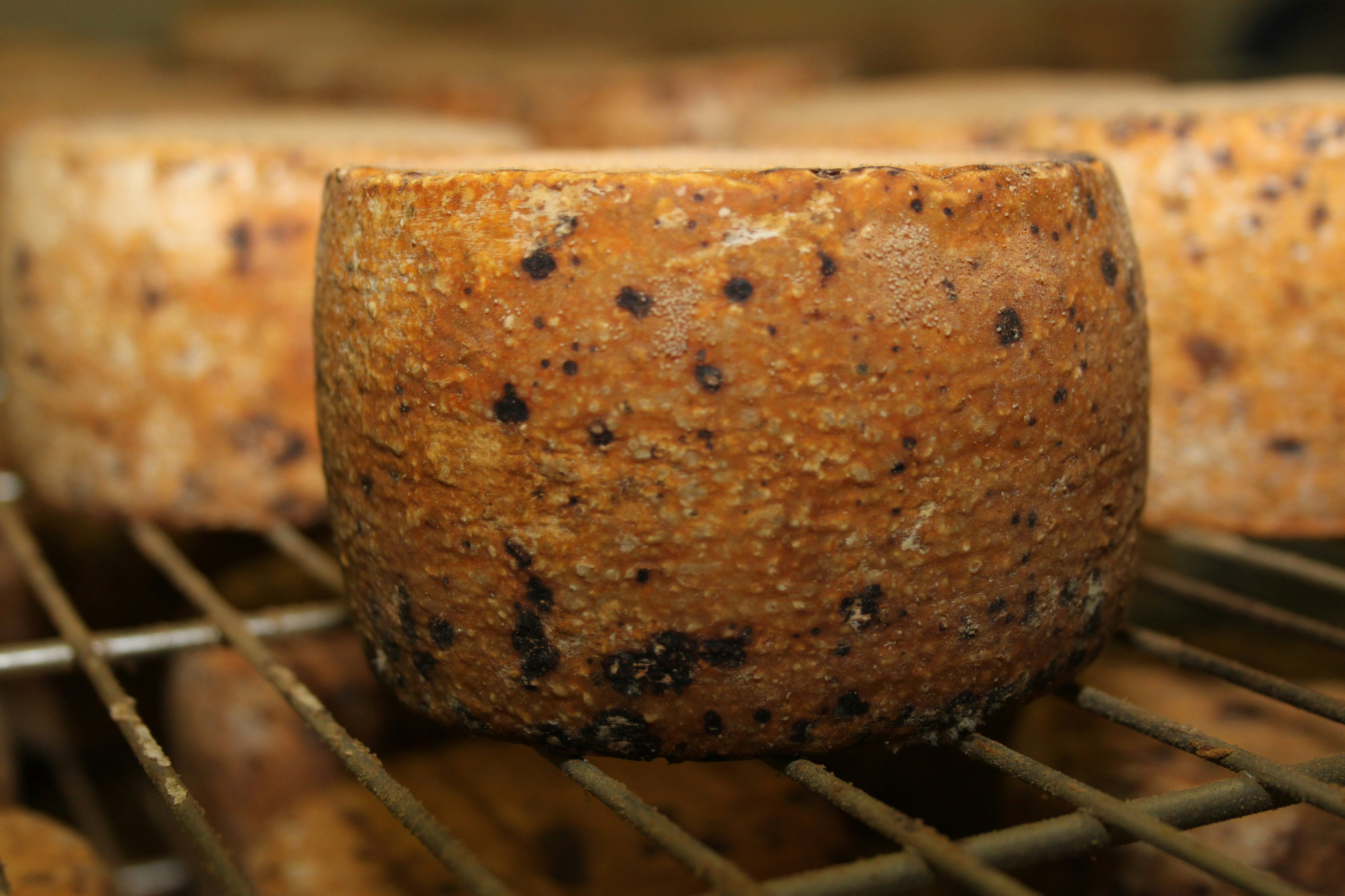 Italian Cheese / The Gastro Label Magazine