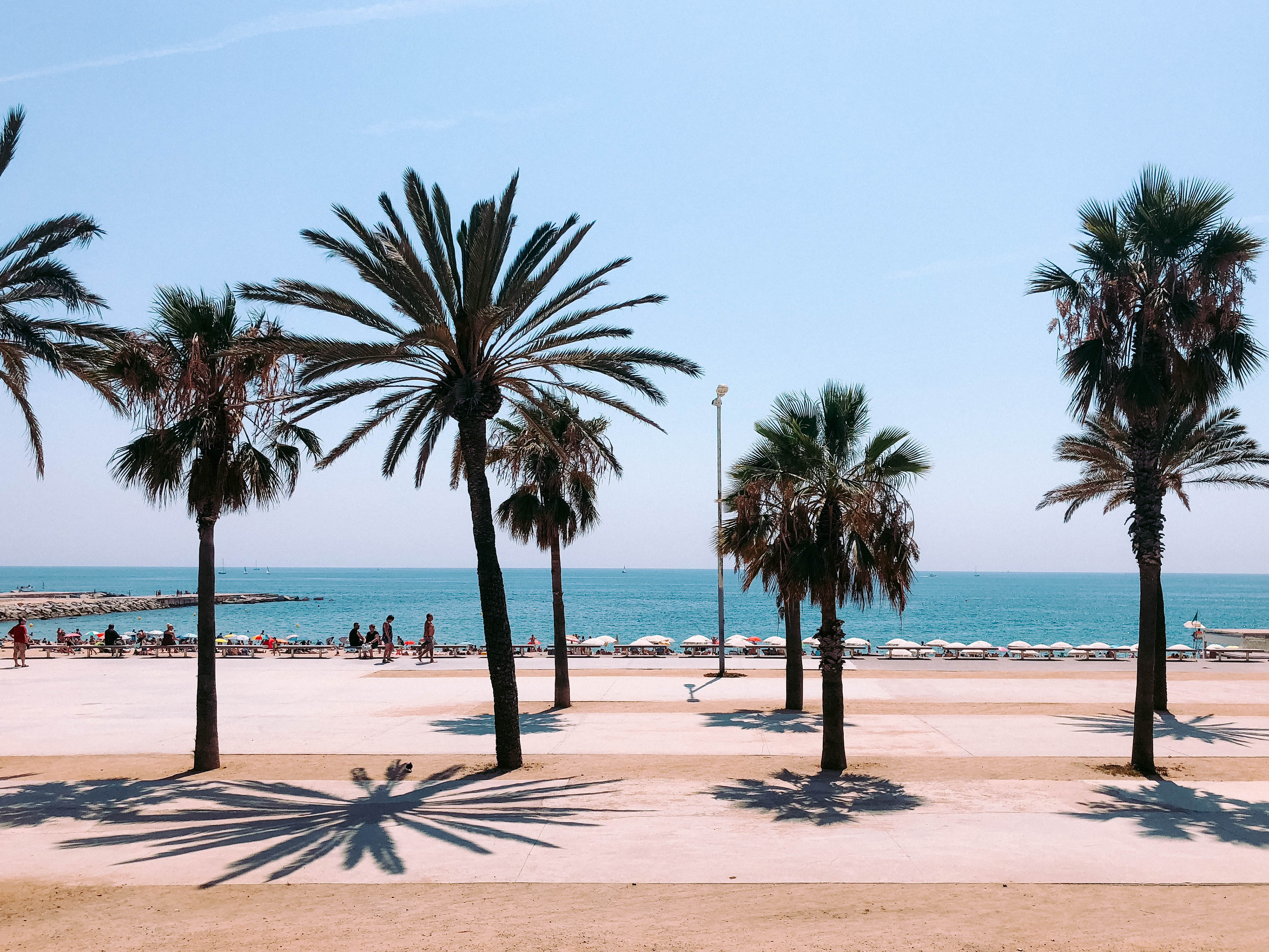 The famous Poblenou beach with views of palm trees and the Mediterranean Sea in Barcelona, Spain / Gastro Label Selection / www.gastro-label.com