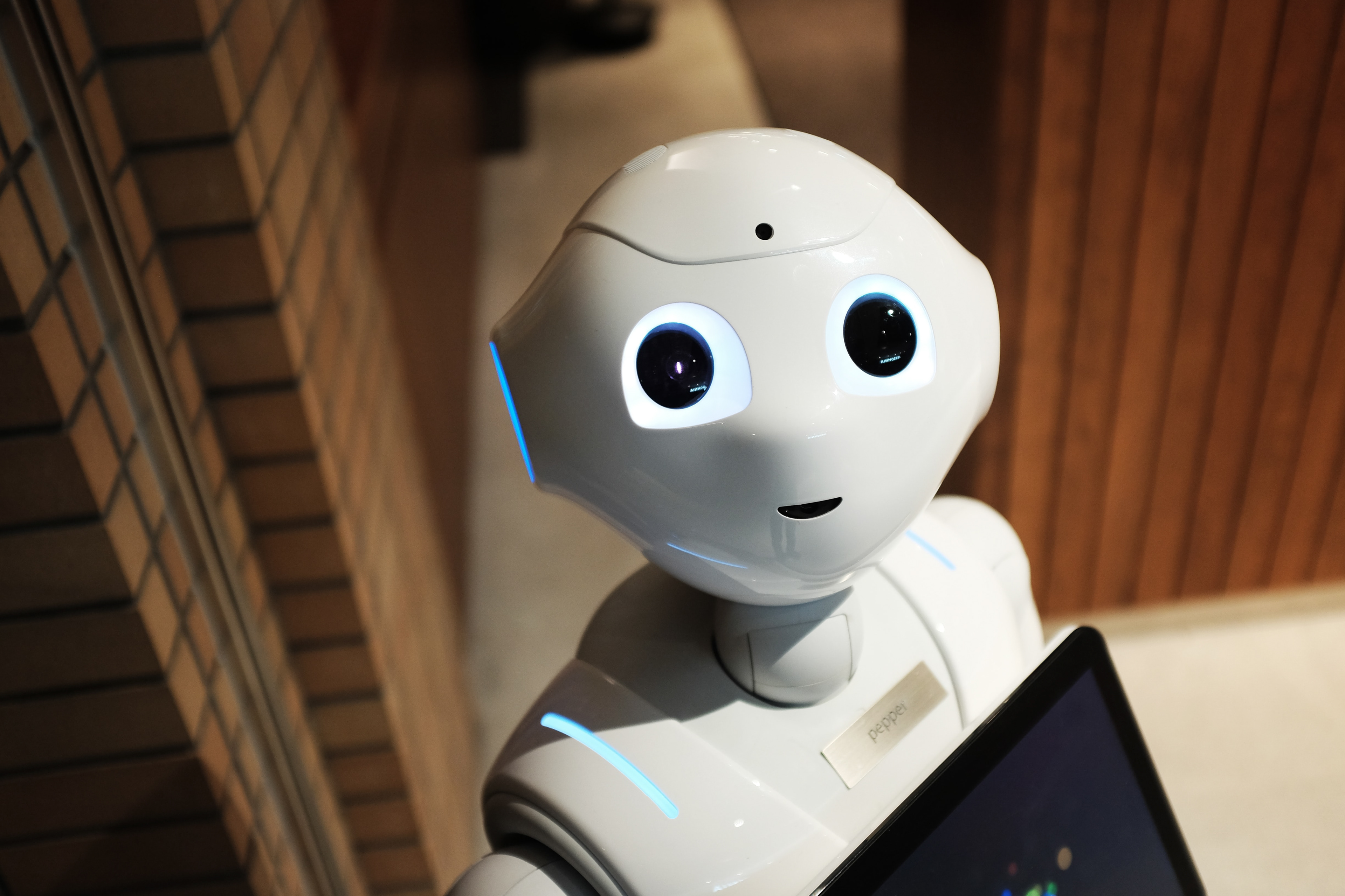 Friendly robot looks into the camera / The Gastro Label / www.gastro-label.com