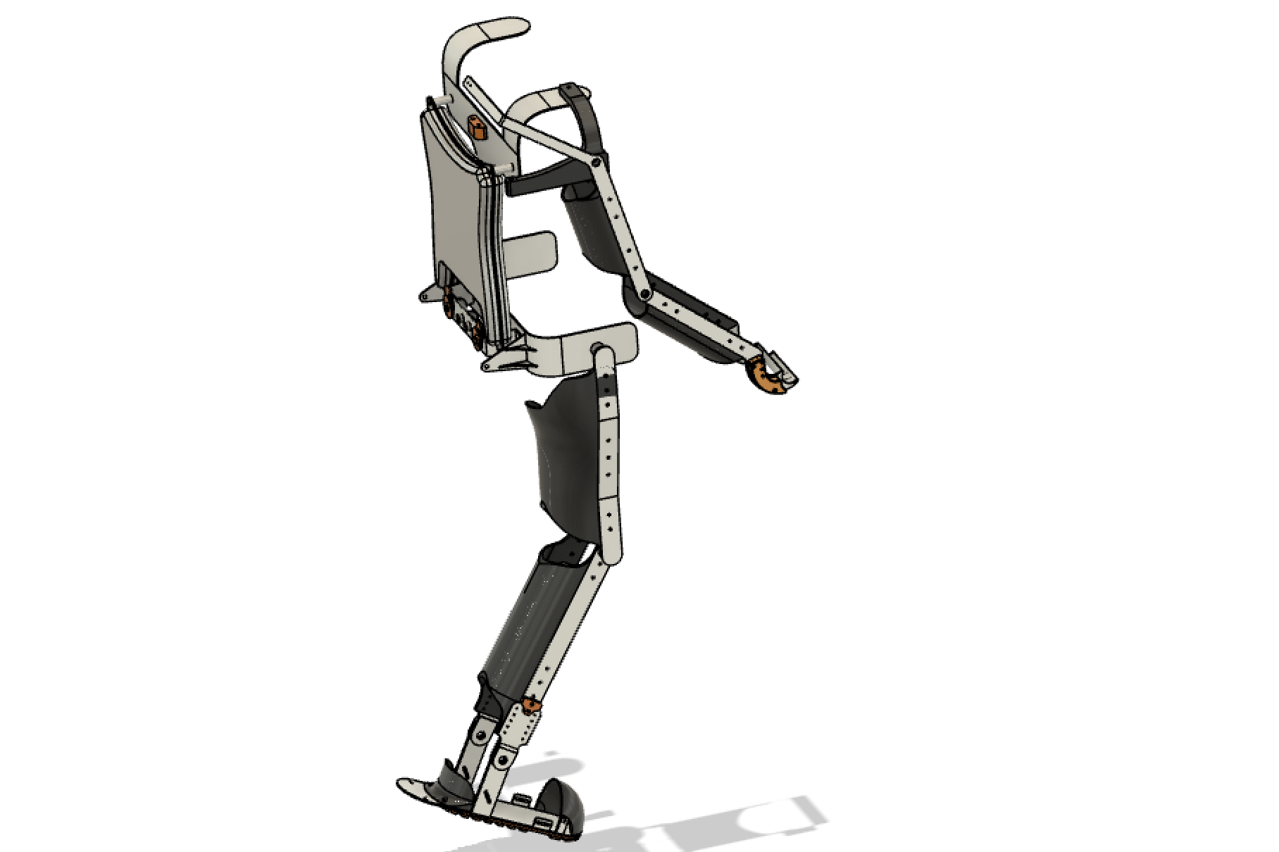 The whole body (working iteration)