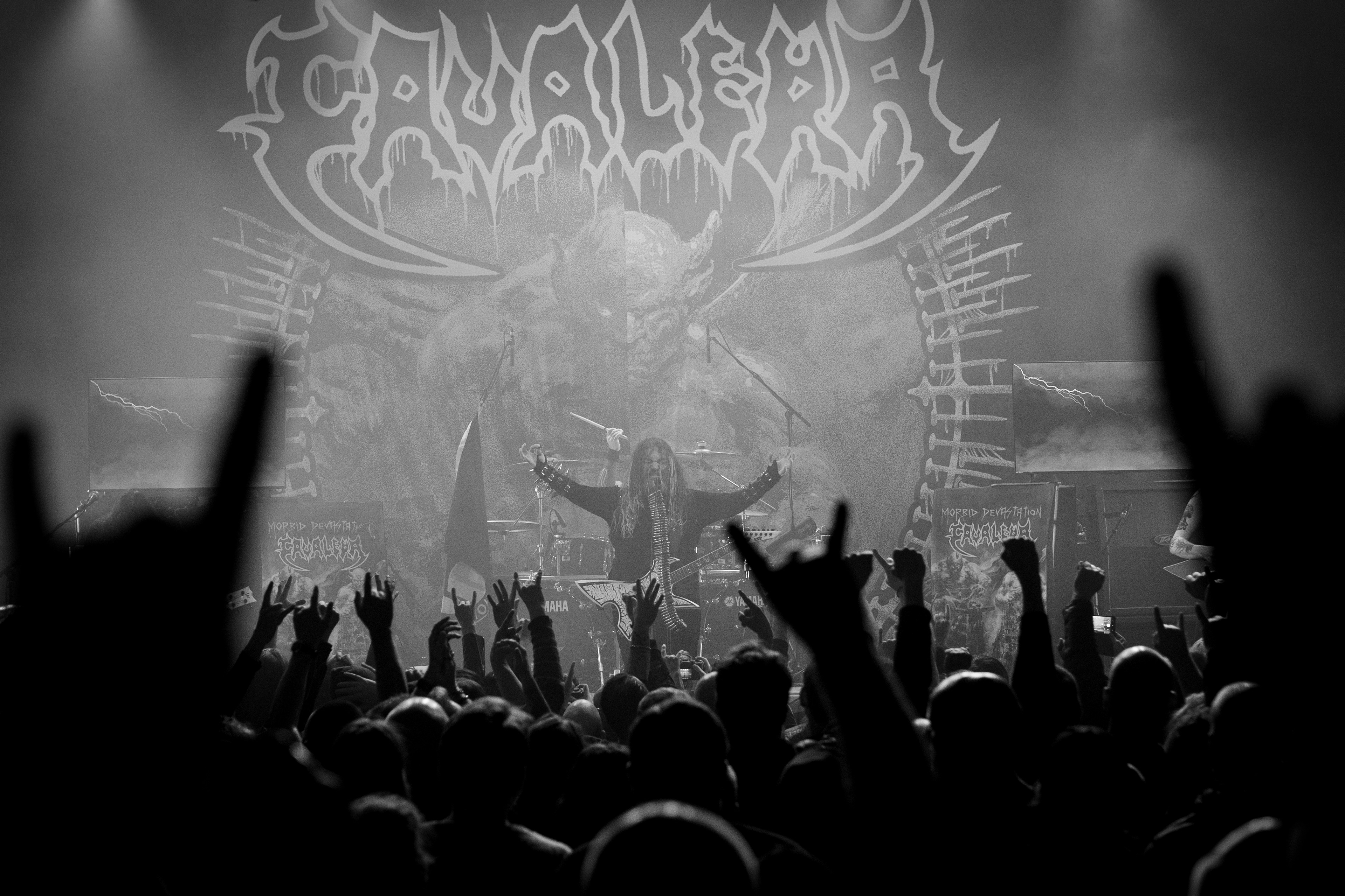 Photo courtesy of Thomas Dedekam