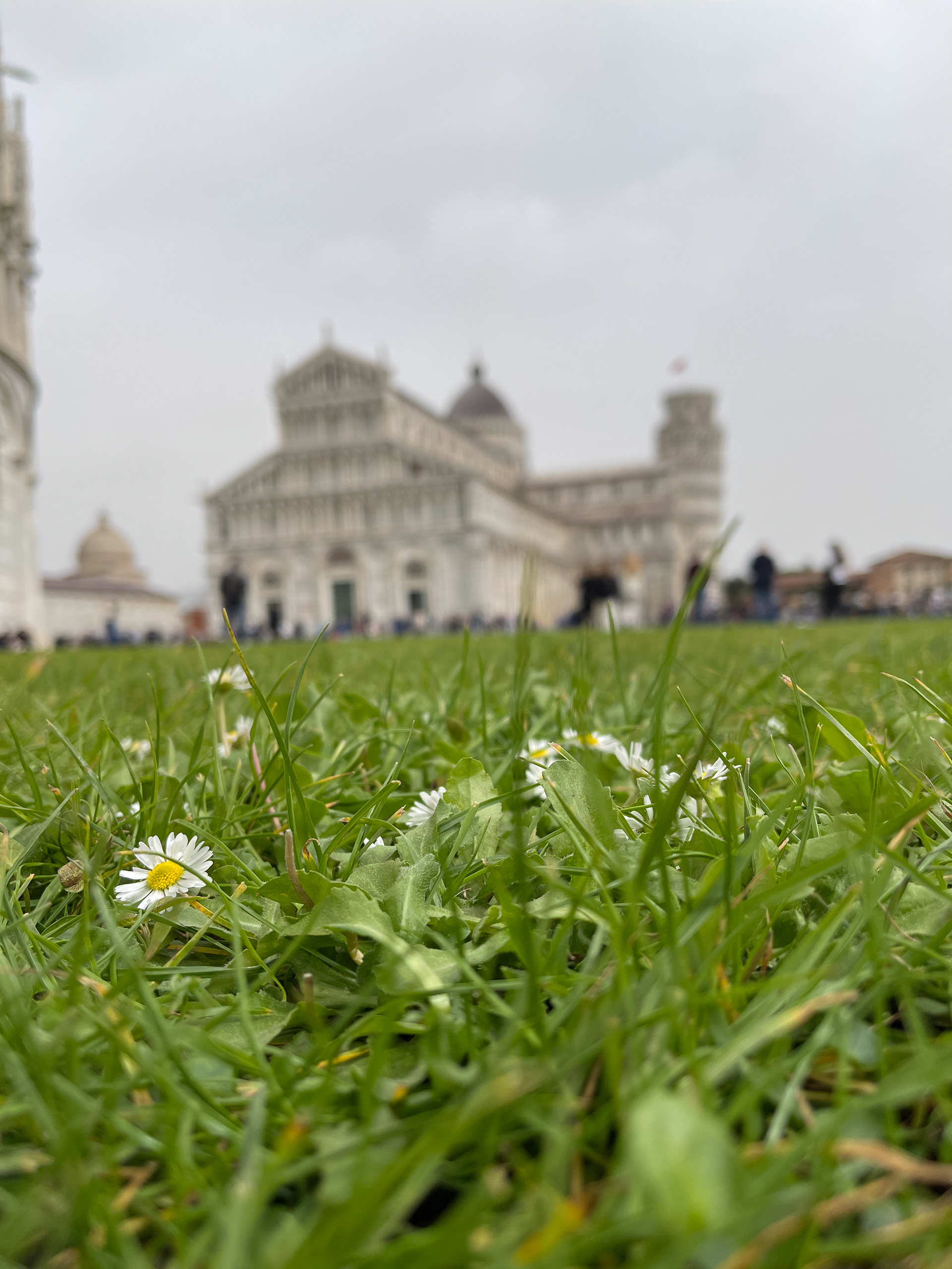 pisa