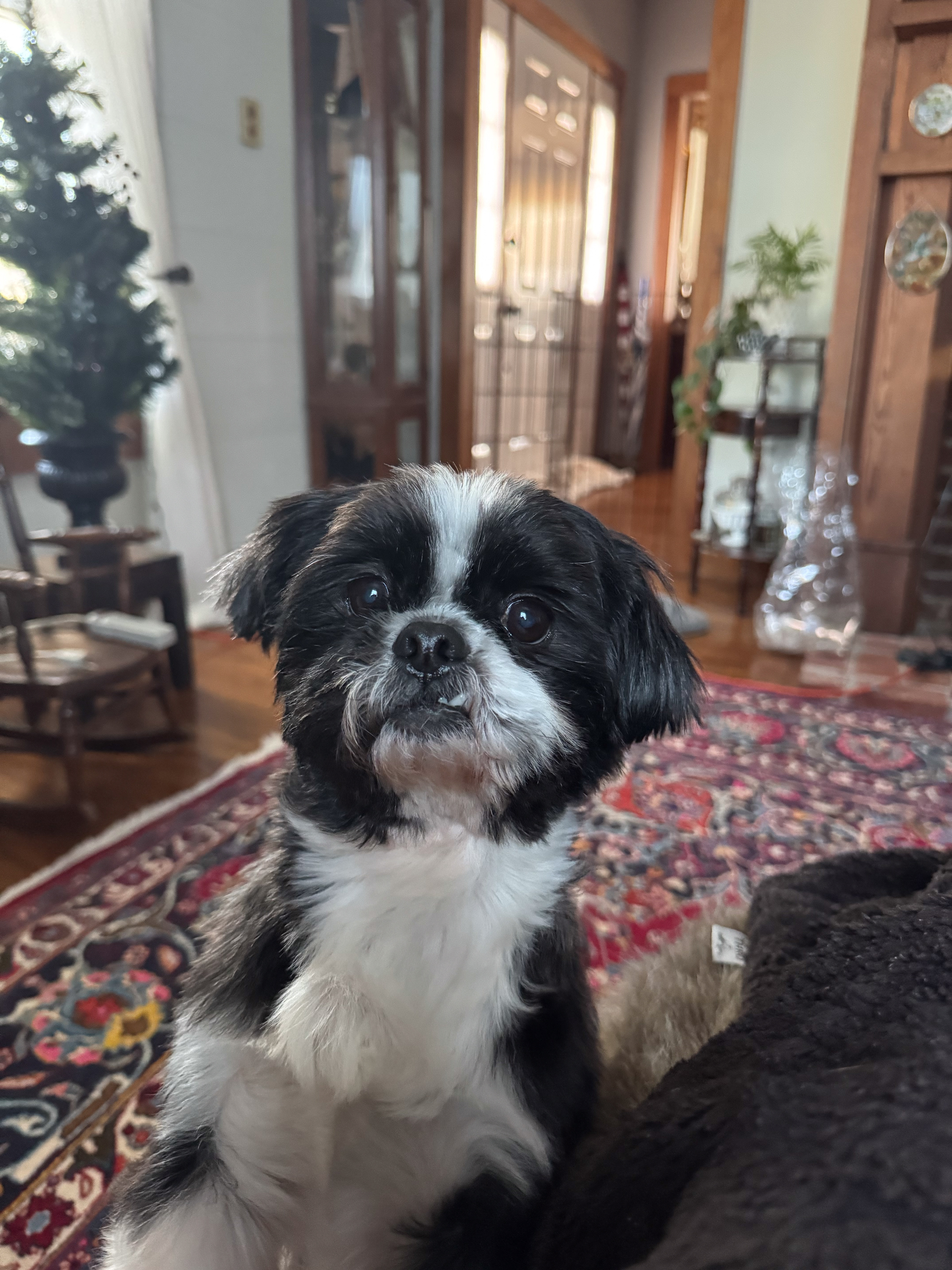 murphy and his smirk