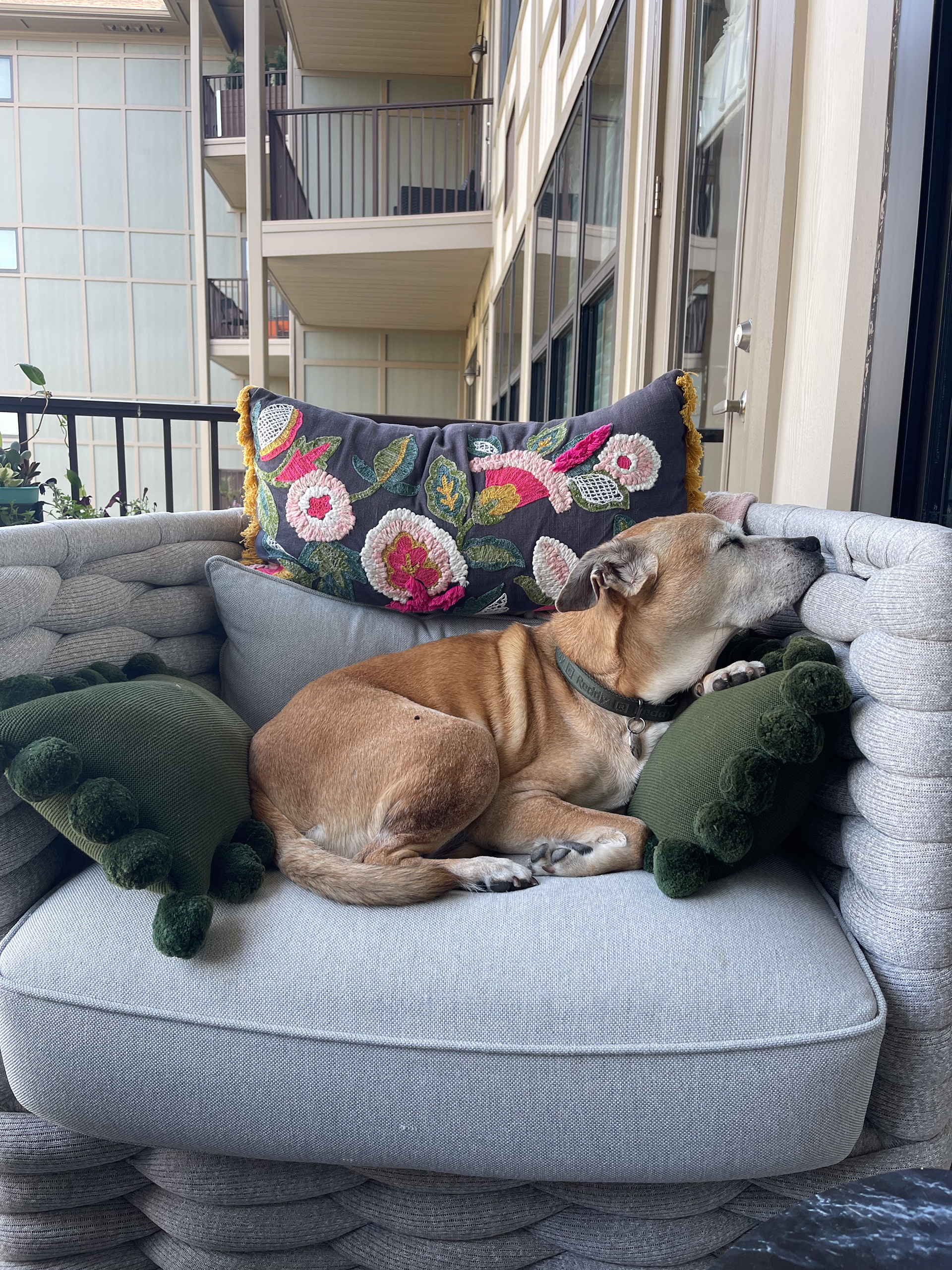 buster snoozin