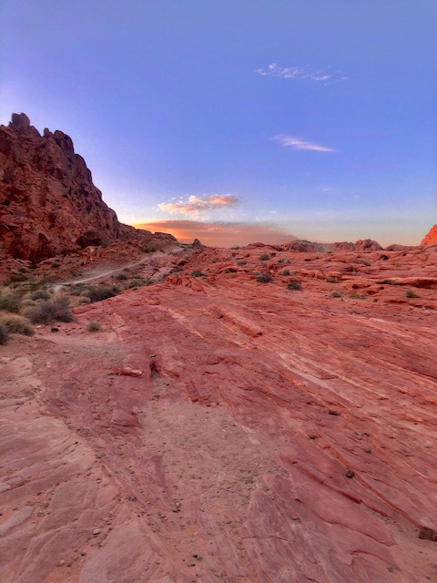 nevada