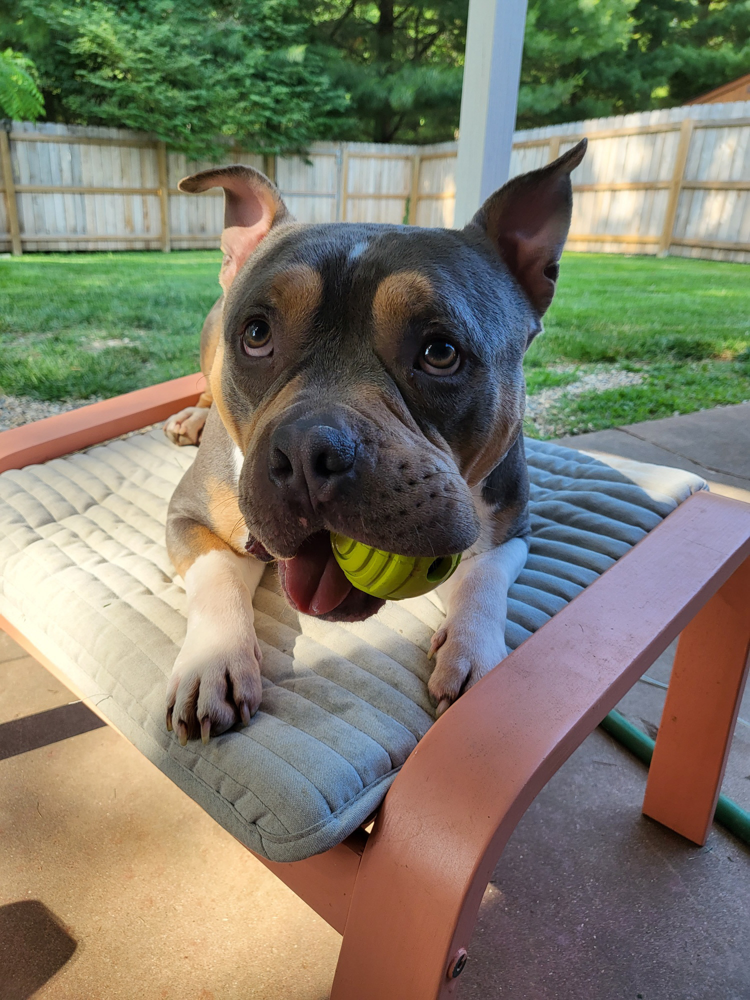 thor with his ball
