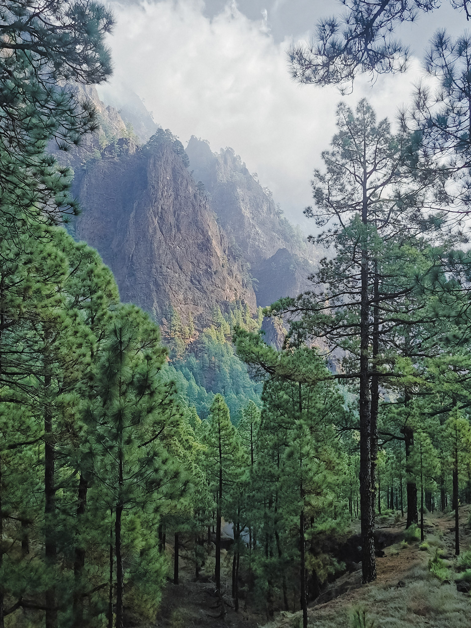 hdr