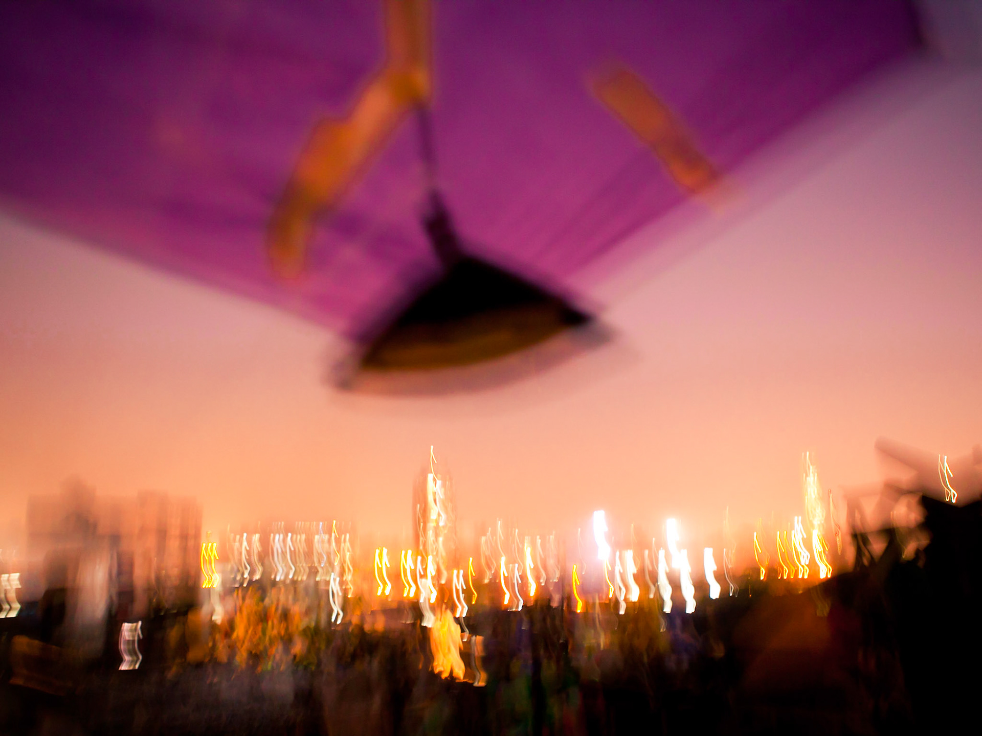 Kite Runners (2011)