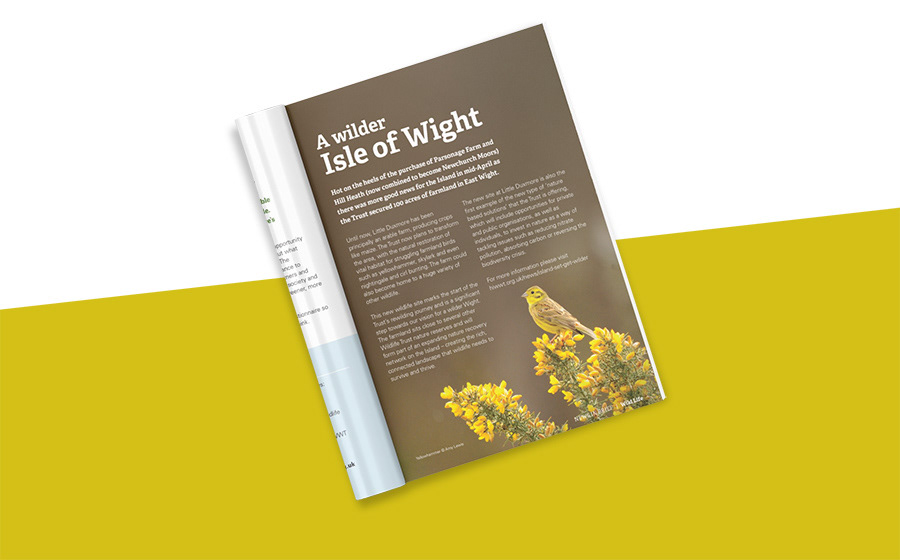 Mini magazine inside page